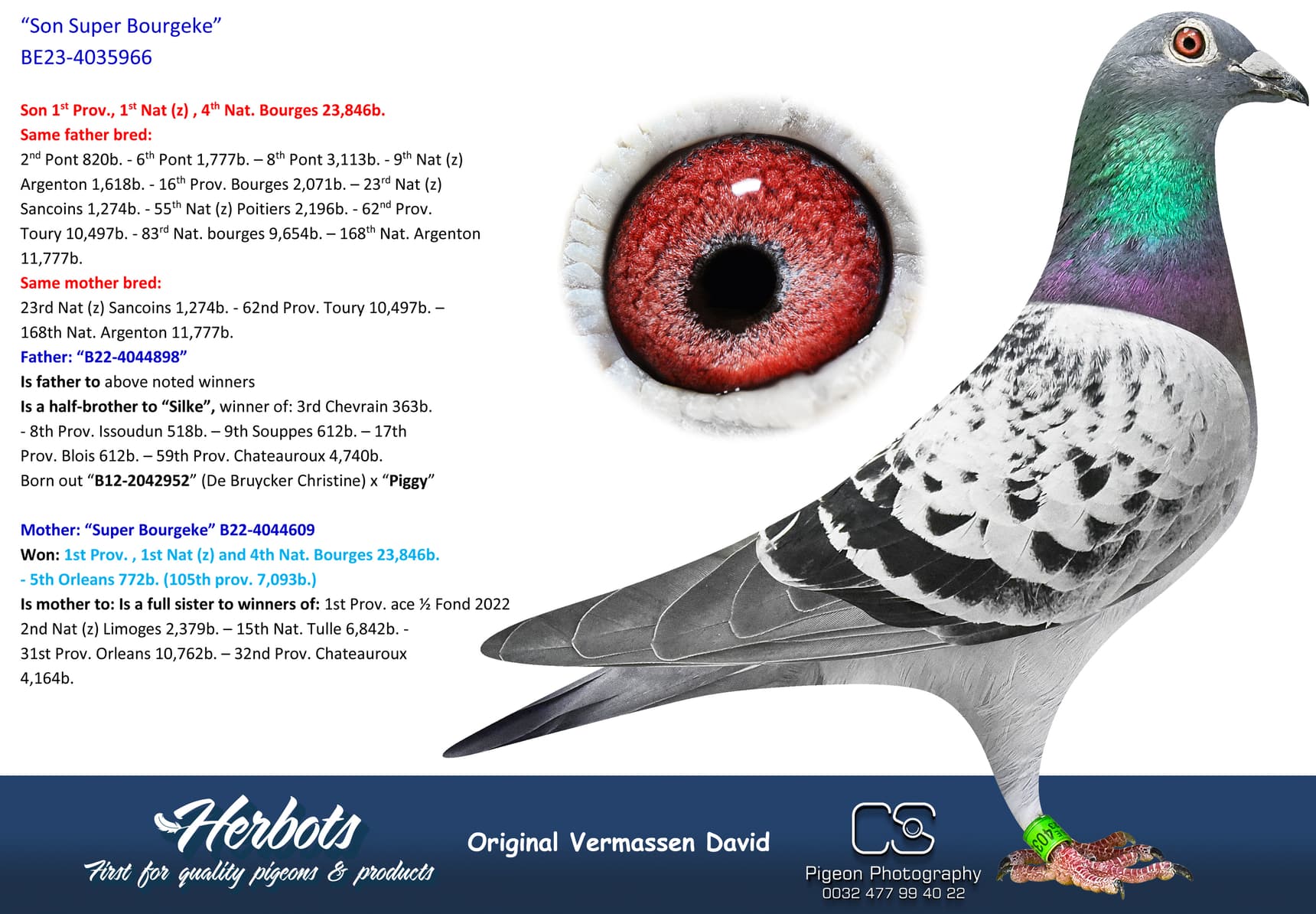 pigeon: undefined