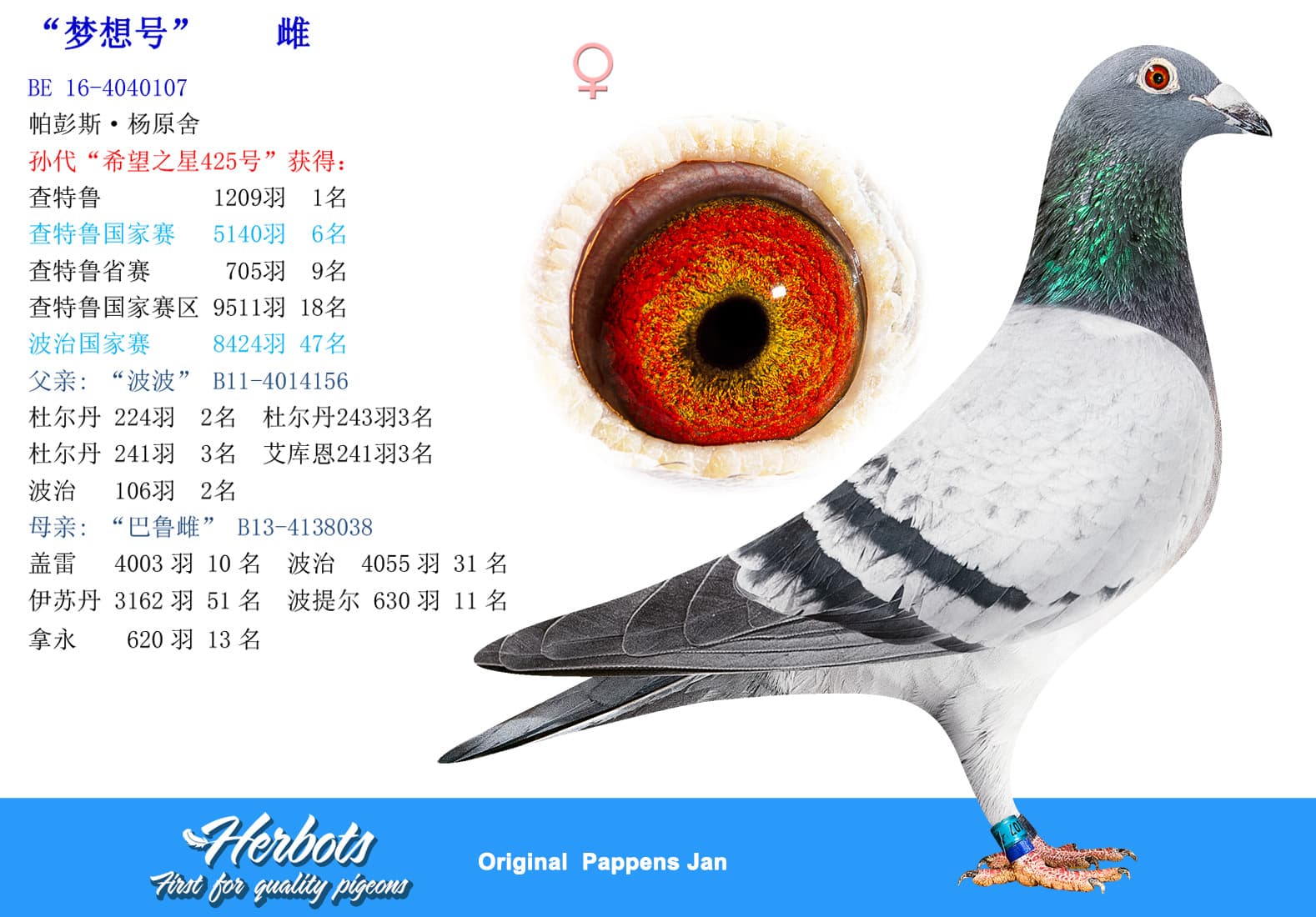 pigeon: undefined