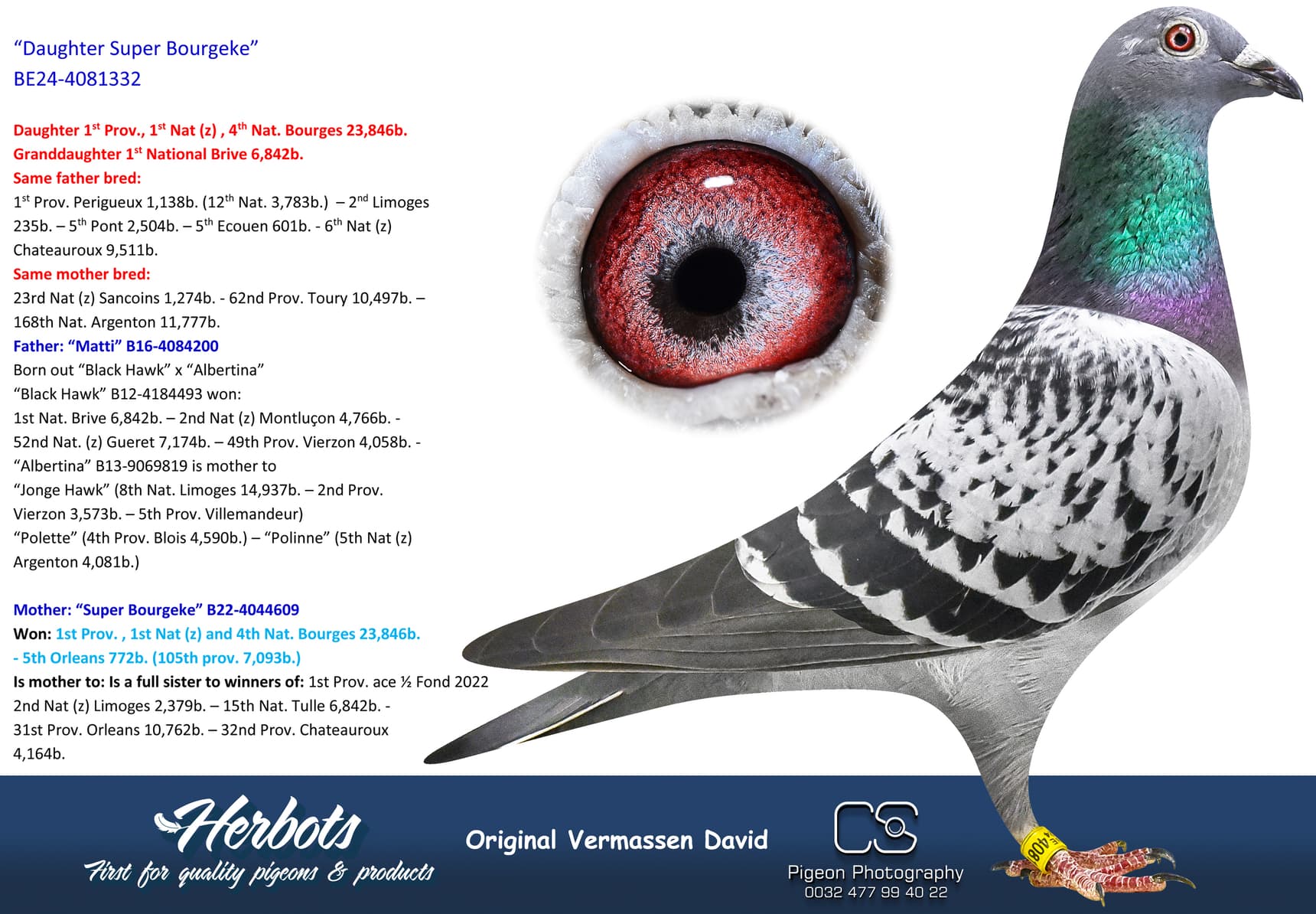 pigeon: undefined