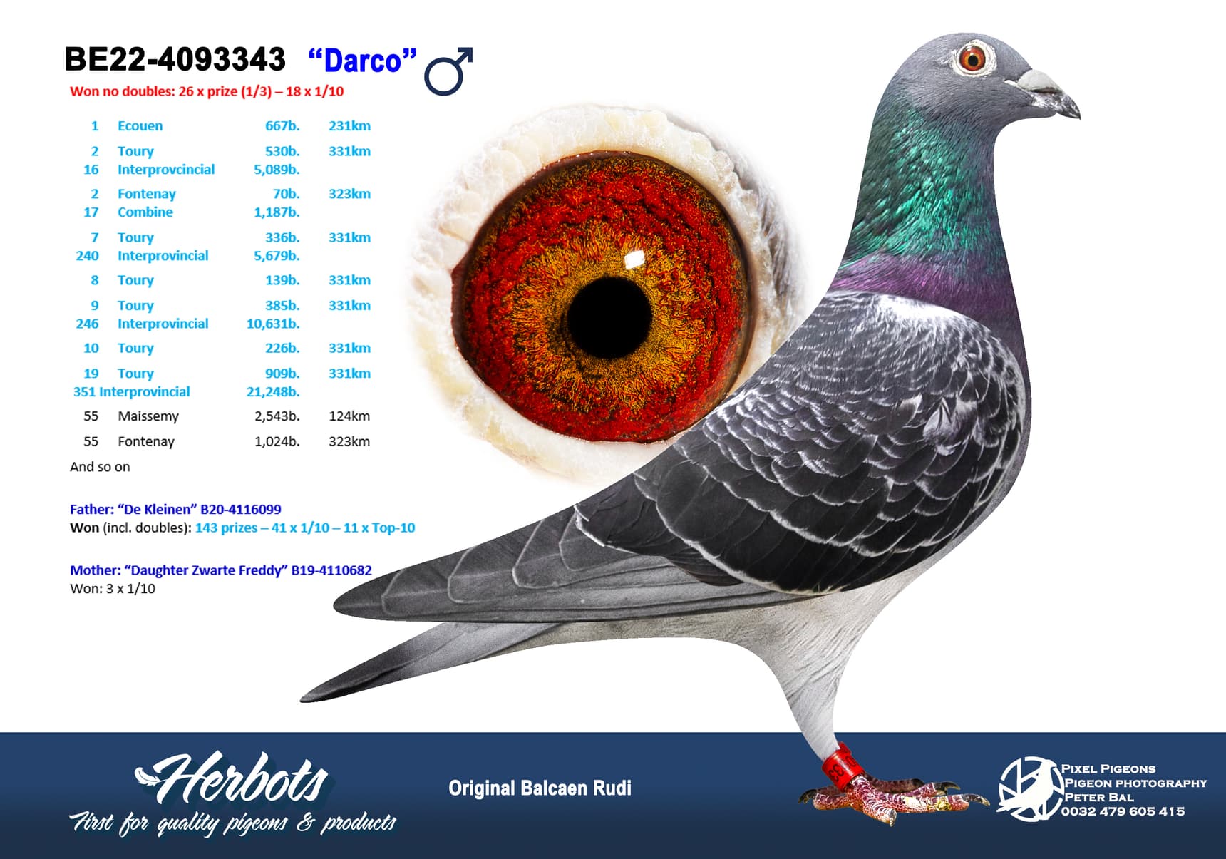 pigeon: undefined