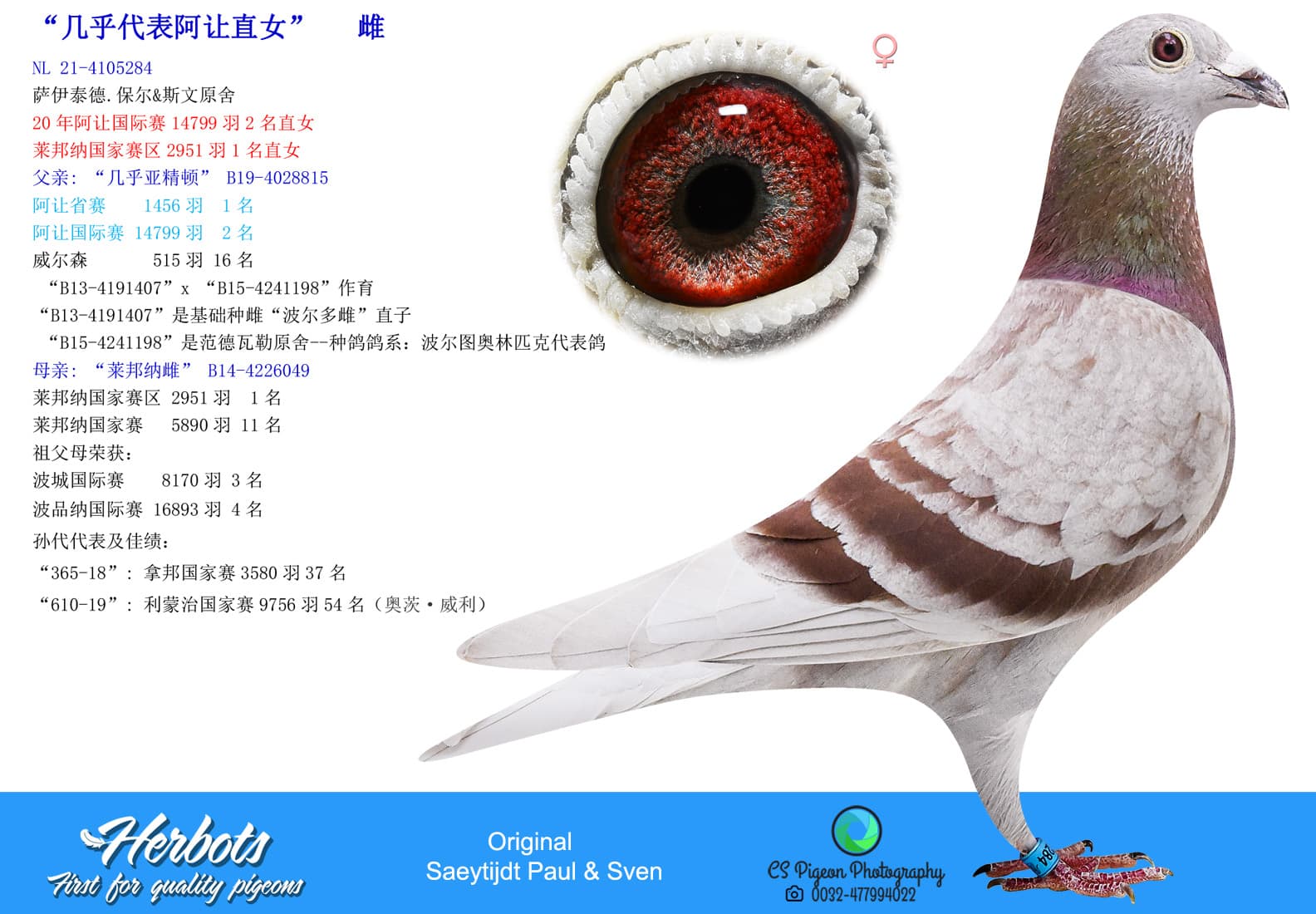 pigeon: undefined