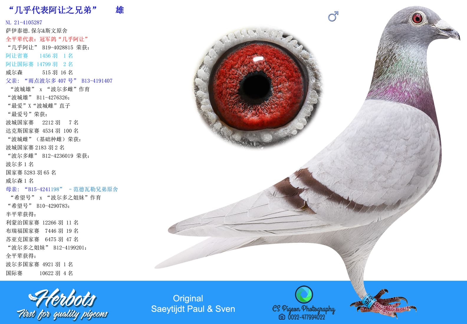 pigeon: undefined