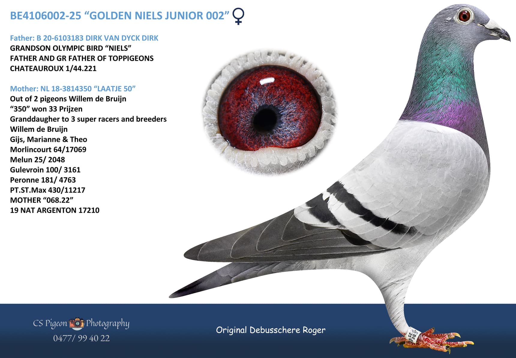 “GOLDEN NIELS JUNIOR 002”
