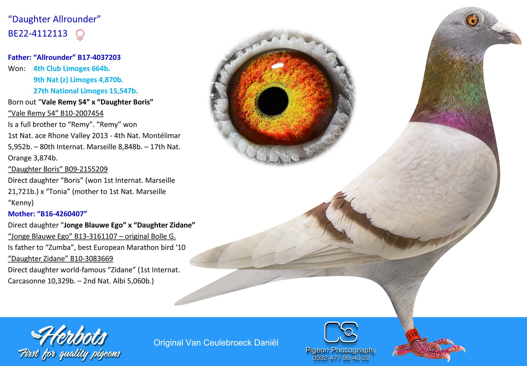pigeon: undefined