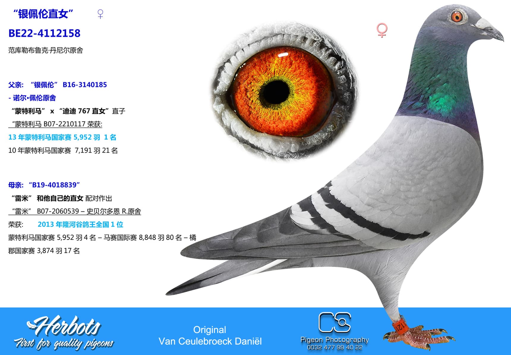 pigeon: undefined