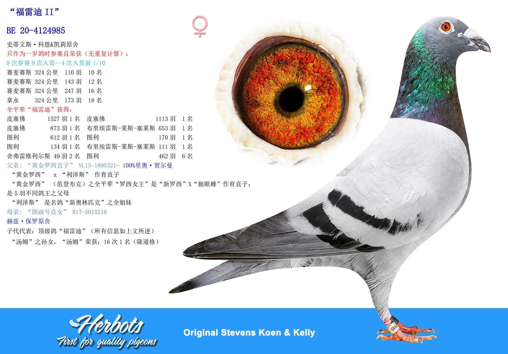 pigeon: undefined