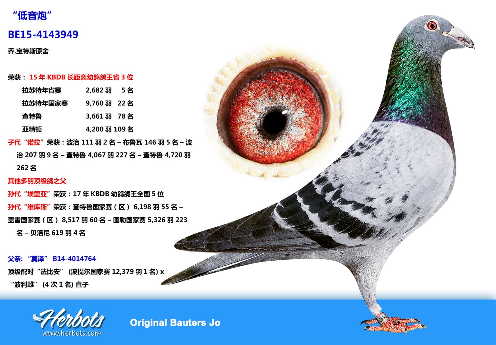 pigeon: “低音炮”