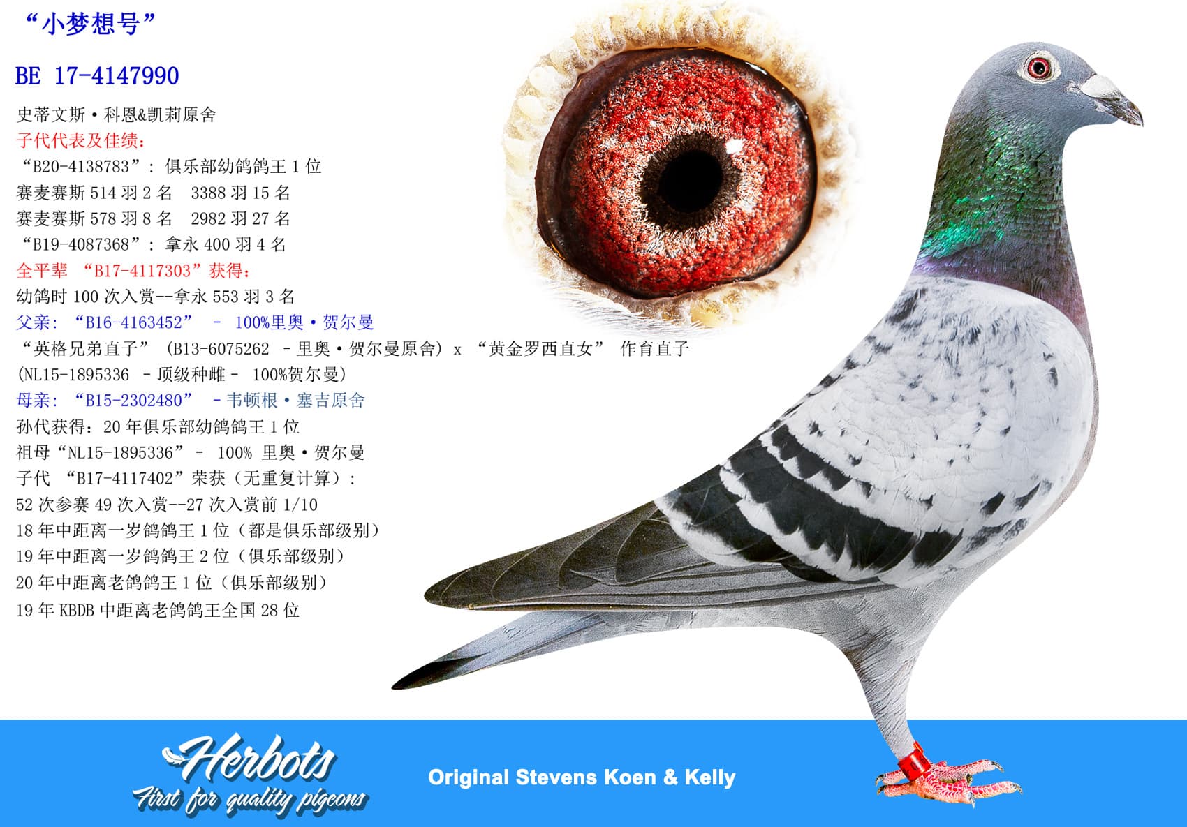 pigeon: undefined