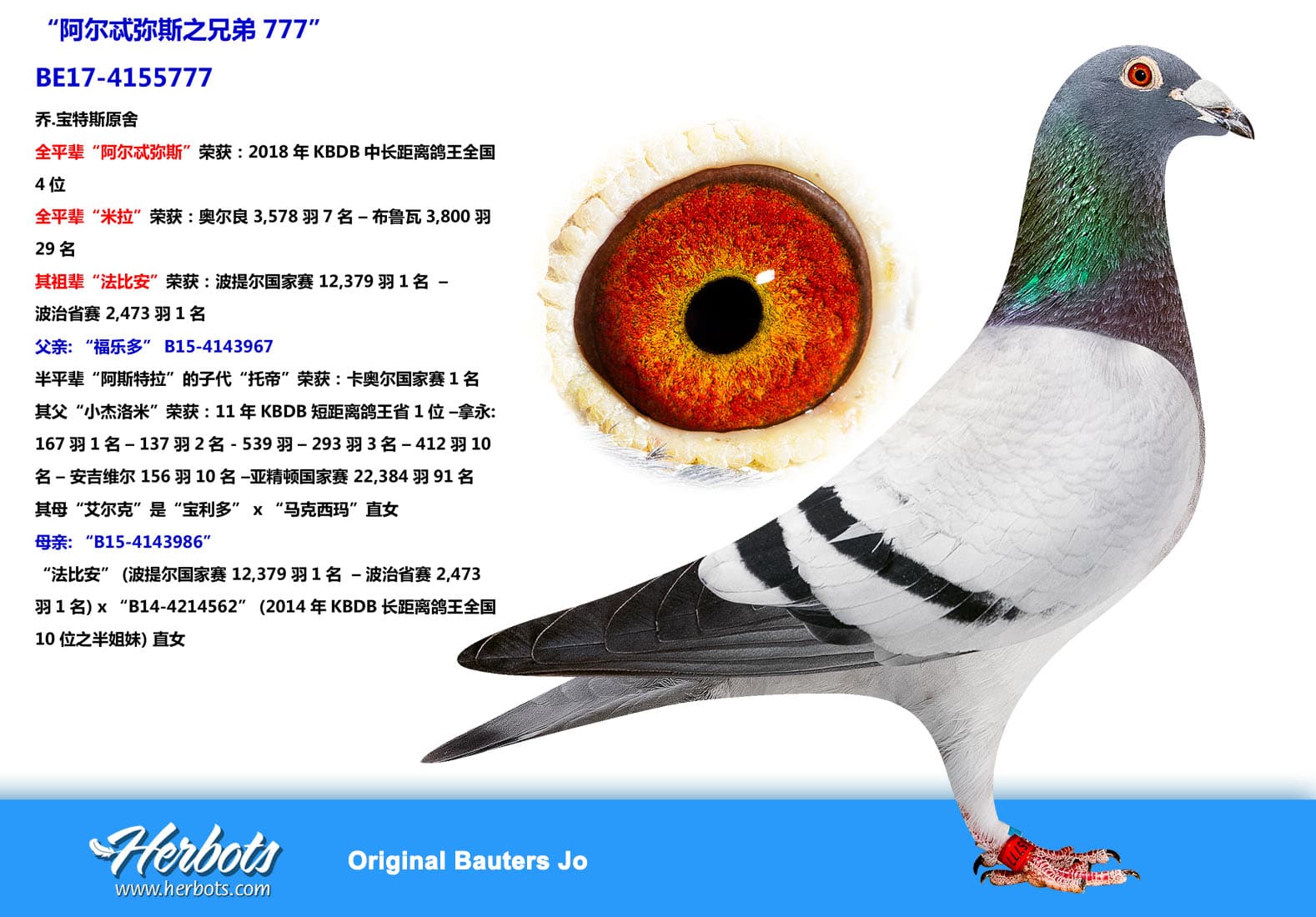 pigeon: “阿尔忒弥斯之兄弟777”