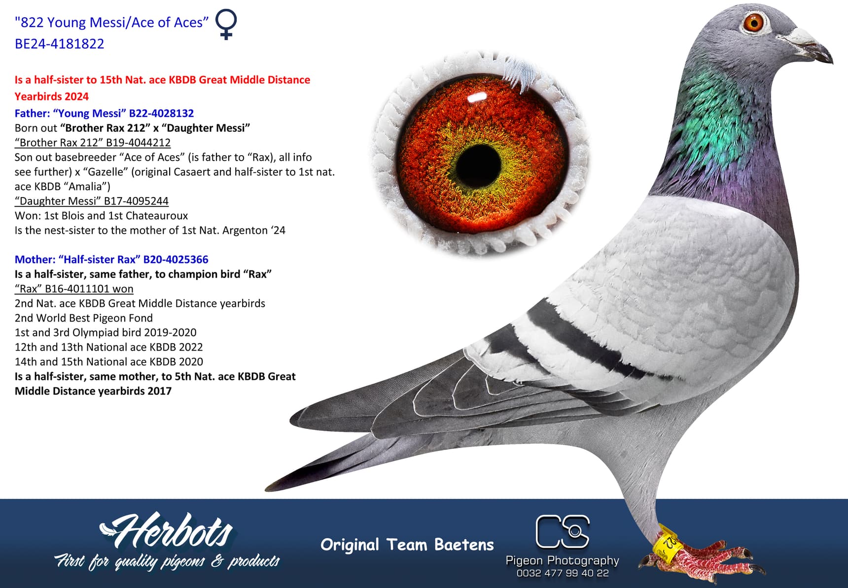 pigeon: undefined