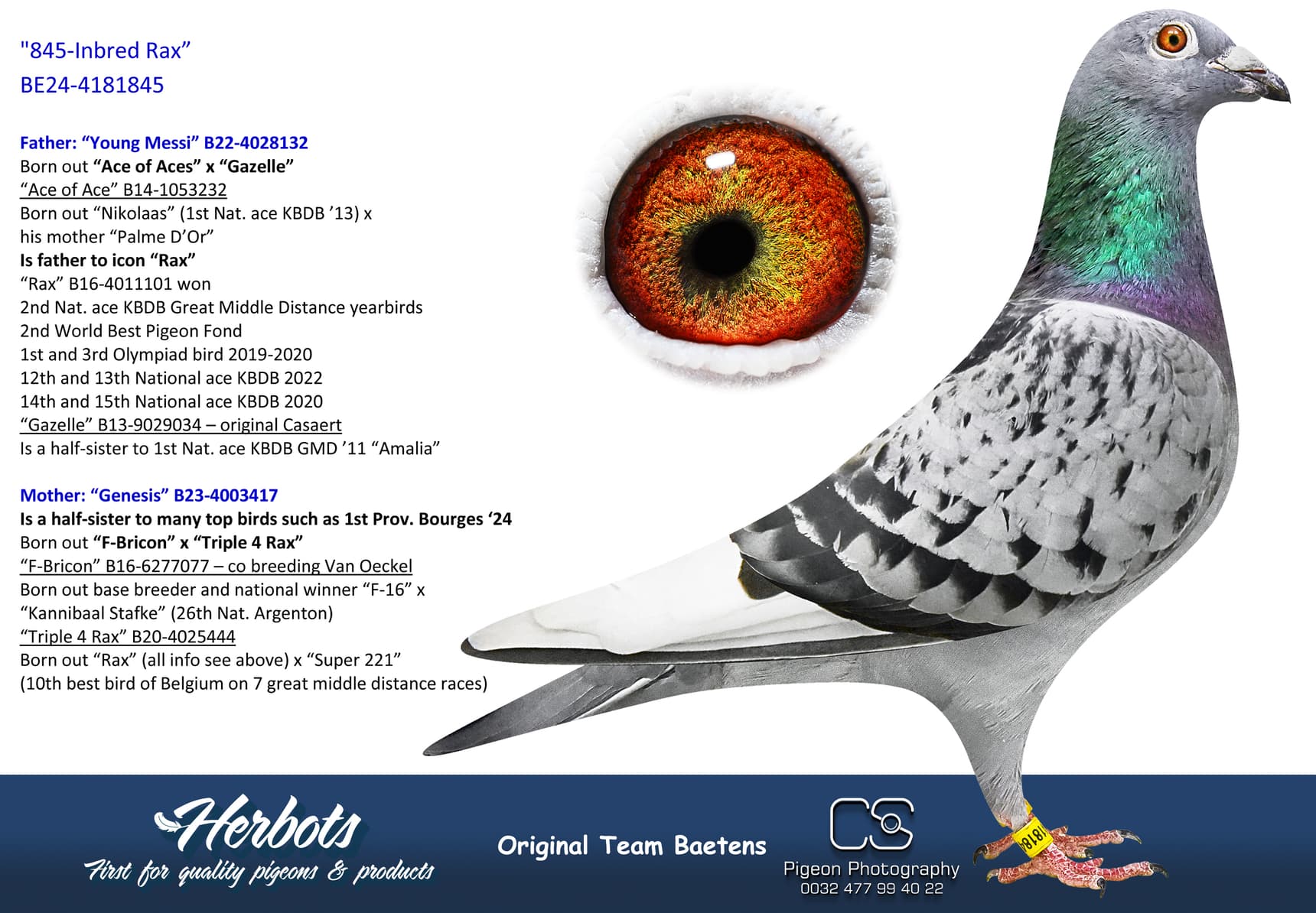 pigeon: undefined