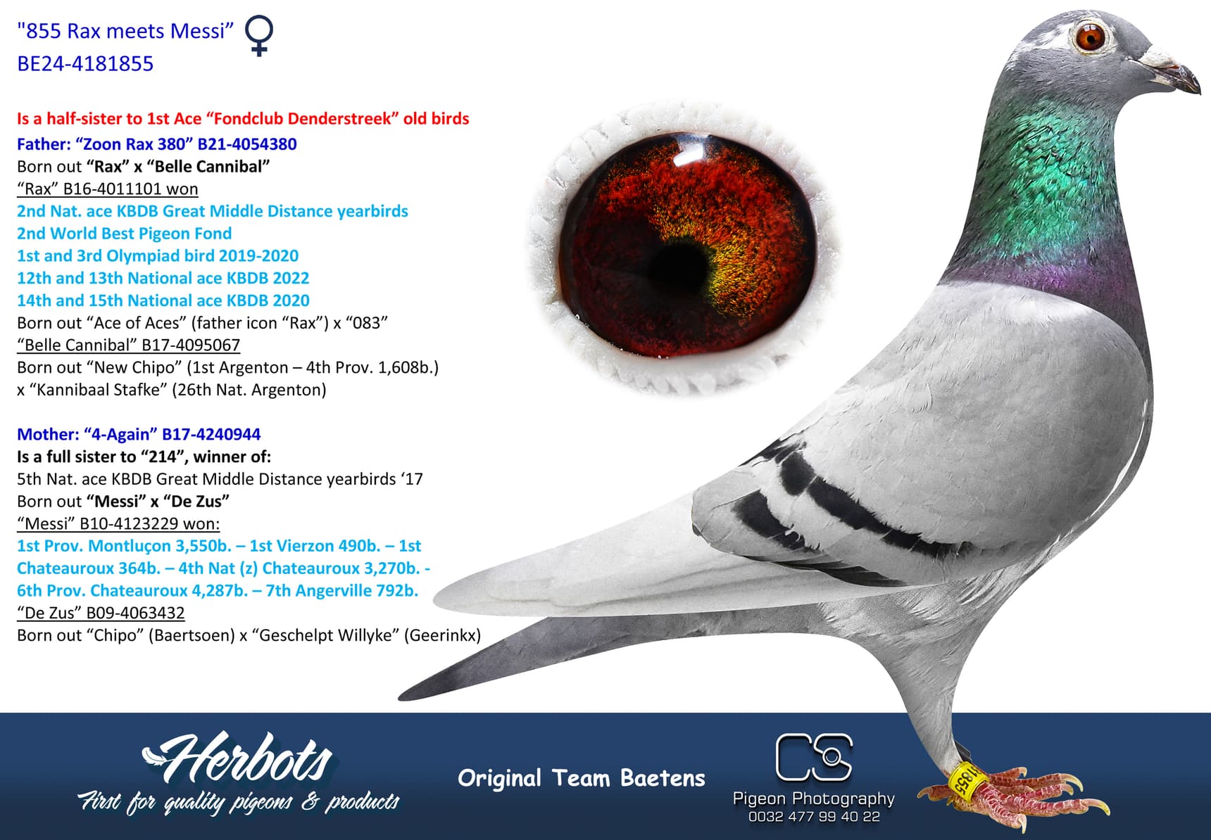 pigeon: undefined