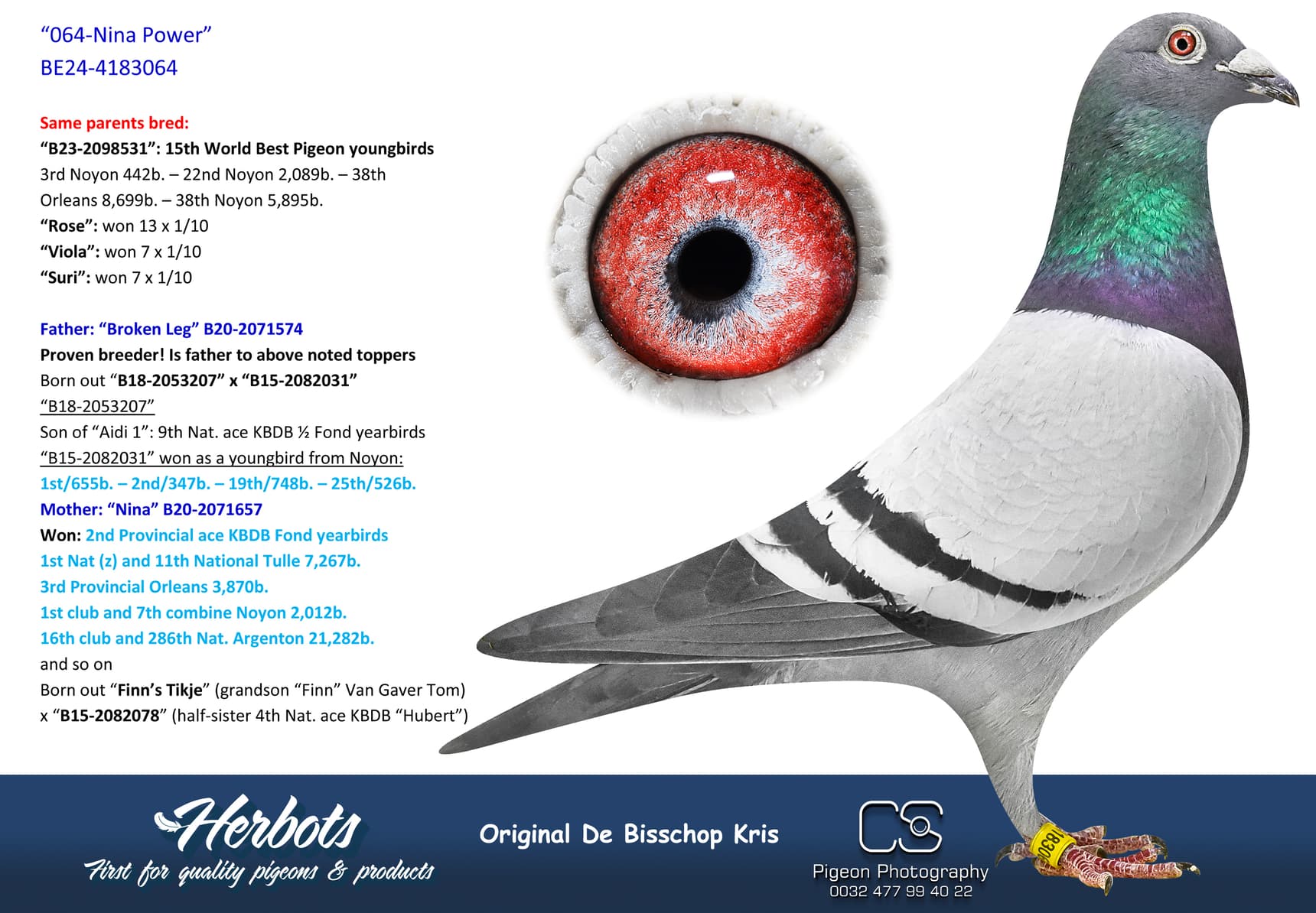 pigeon: undefined