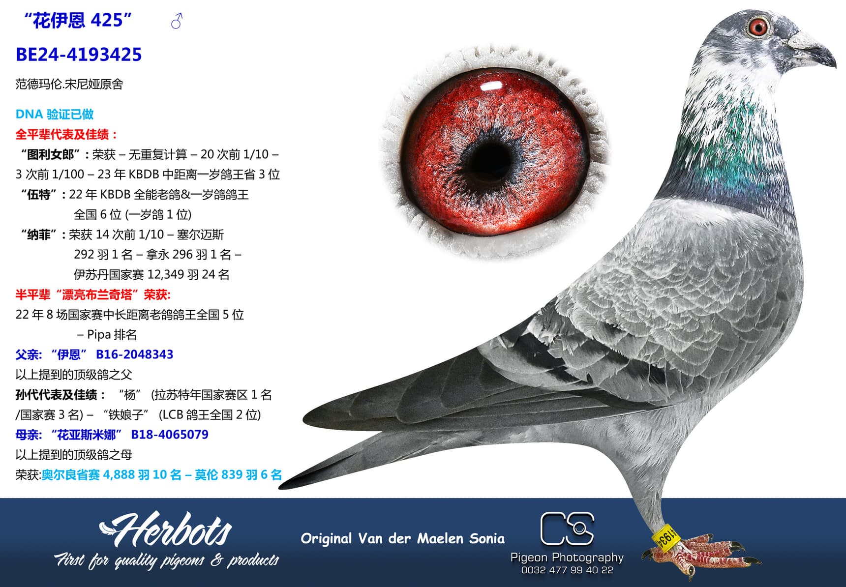 pigeon: undefined