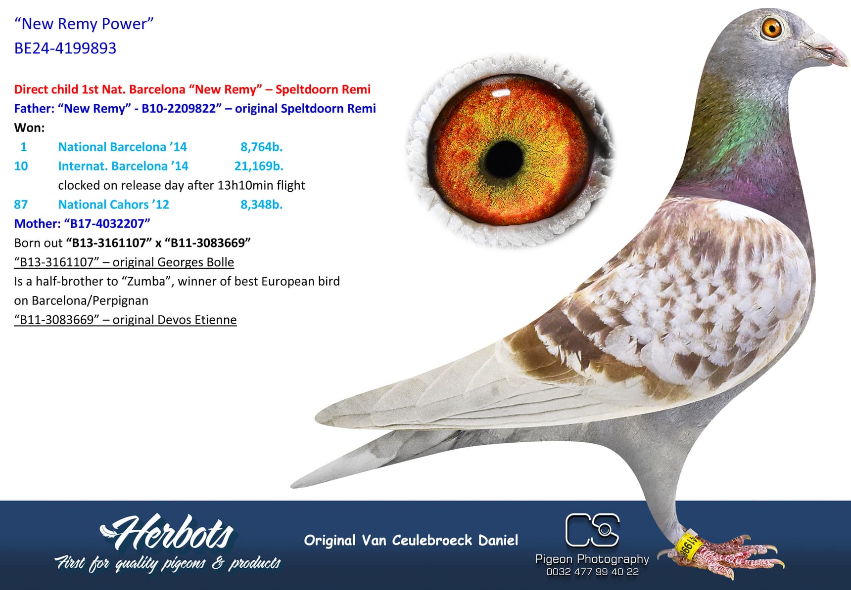 pigeon: undefined