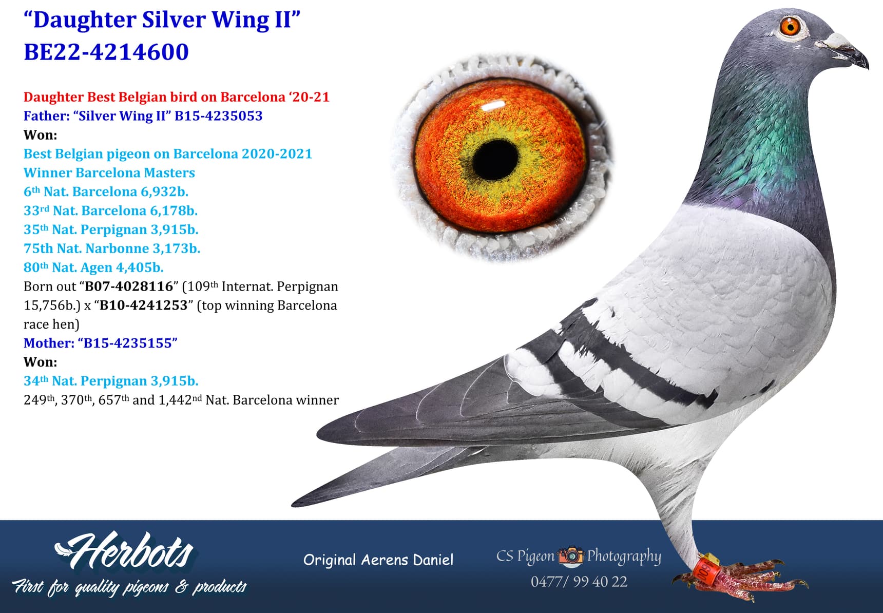 pigeon: undefined