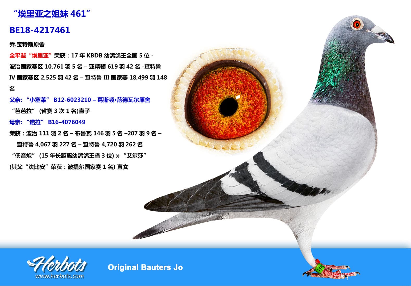 pigeon: undefined