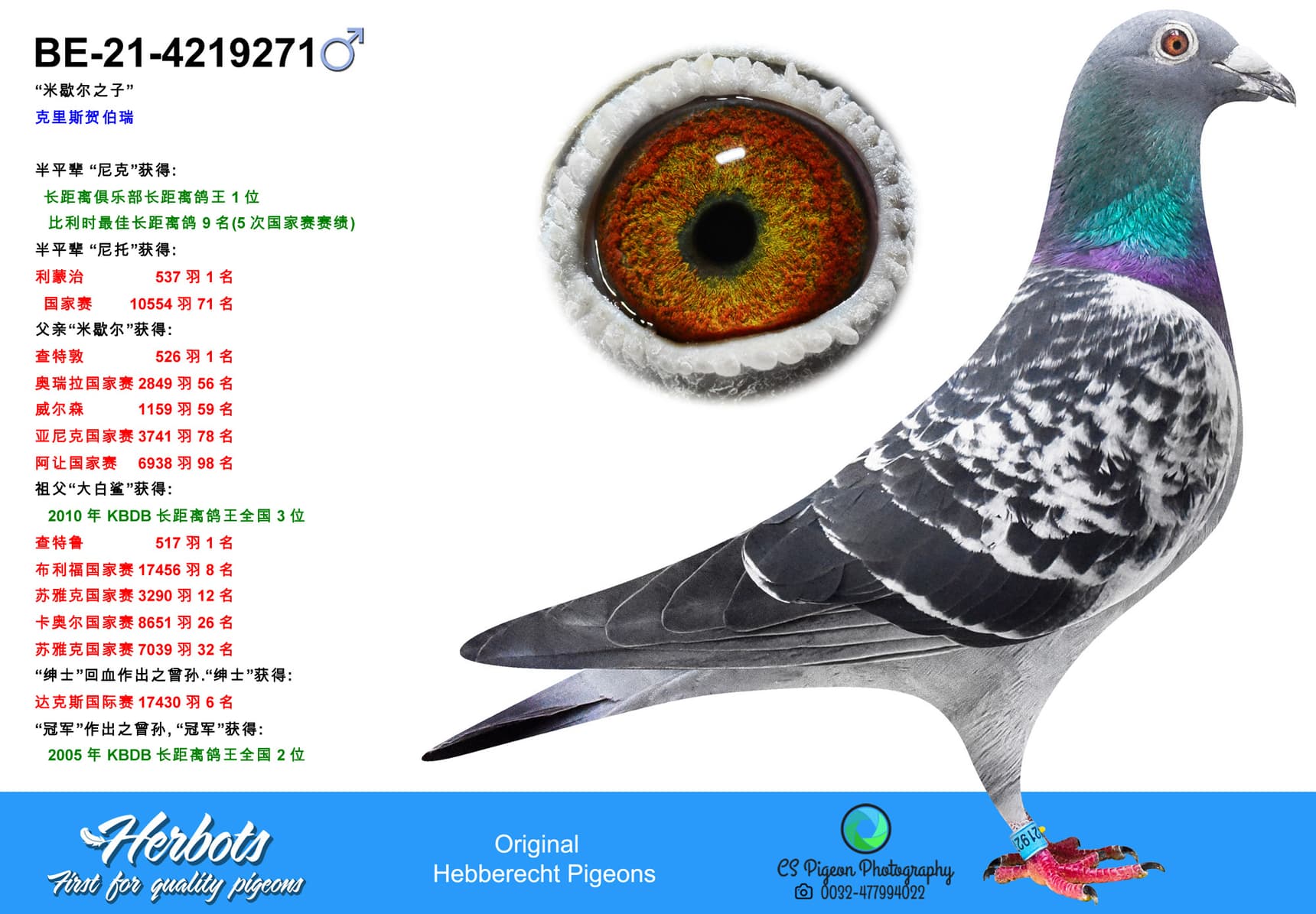 pigeon: undefined