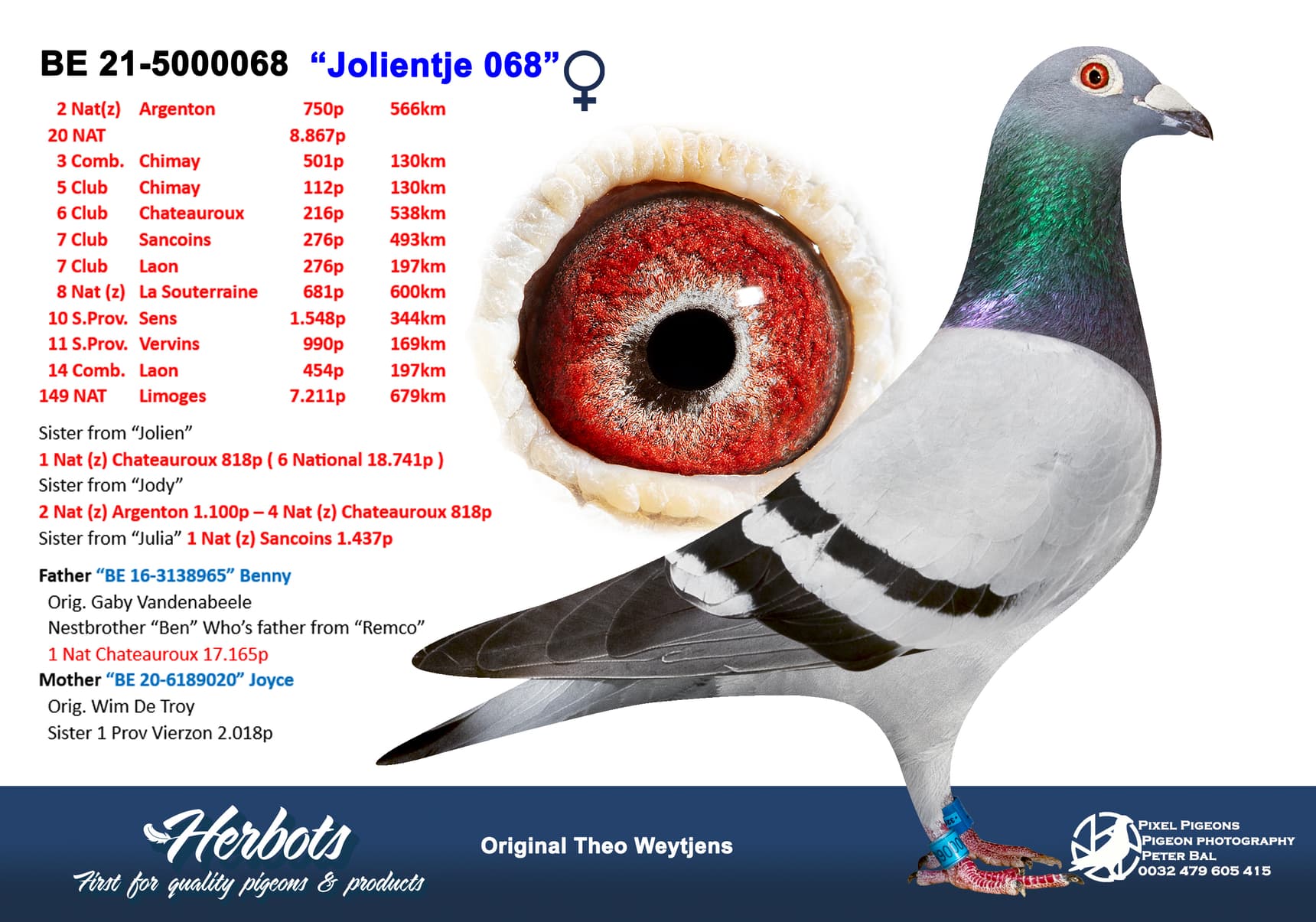 pigeon: undefined
