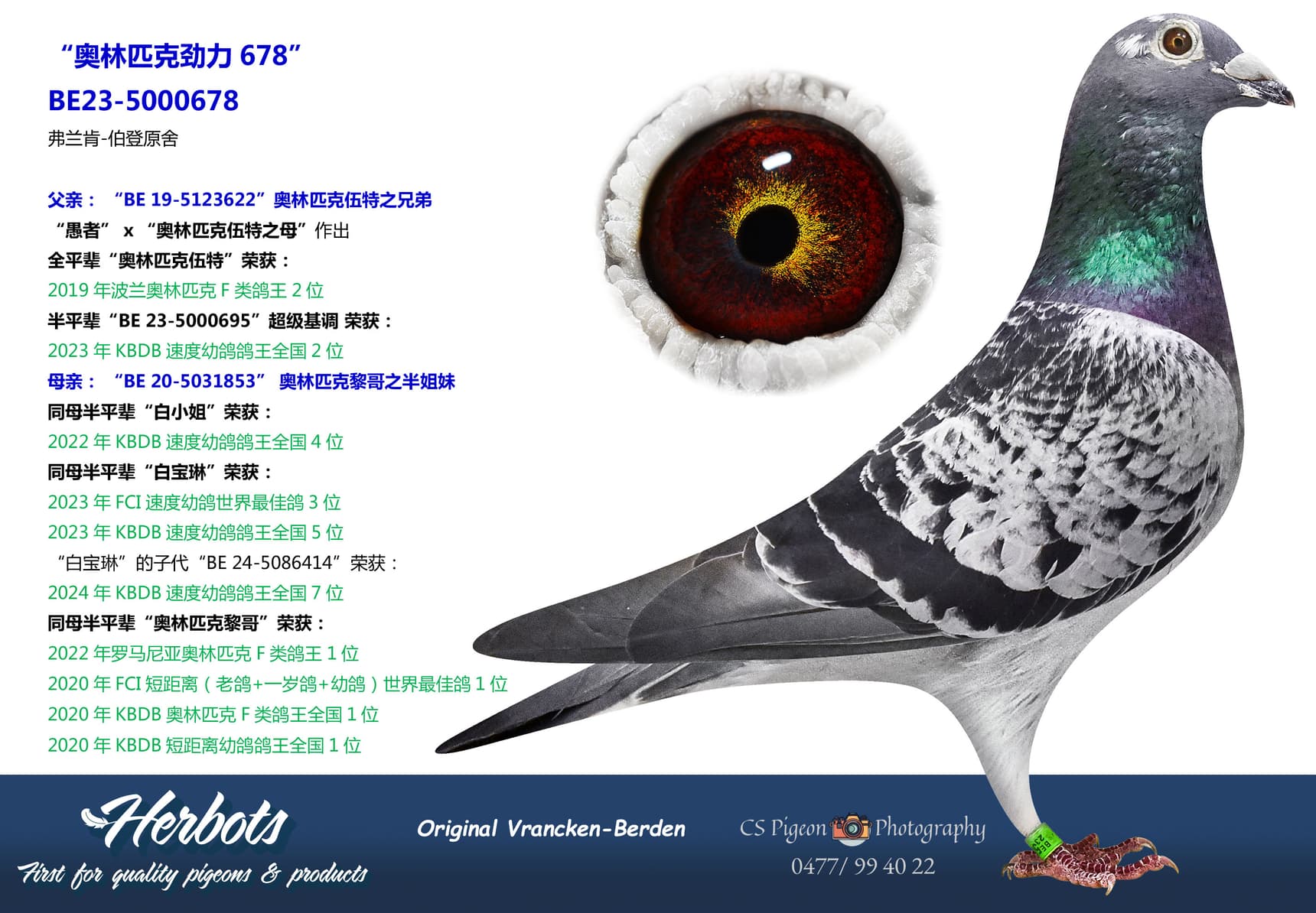 pigeon: undefined