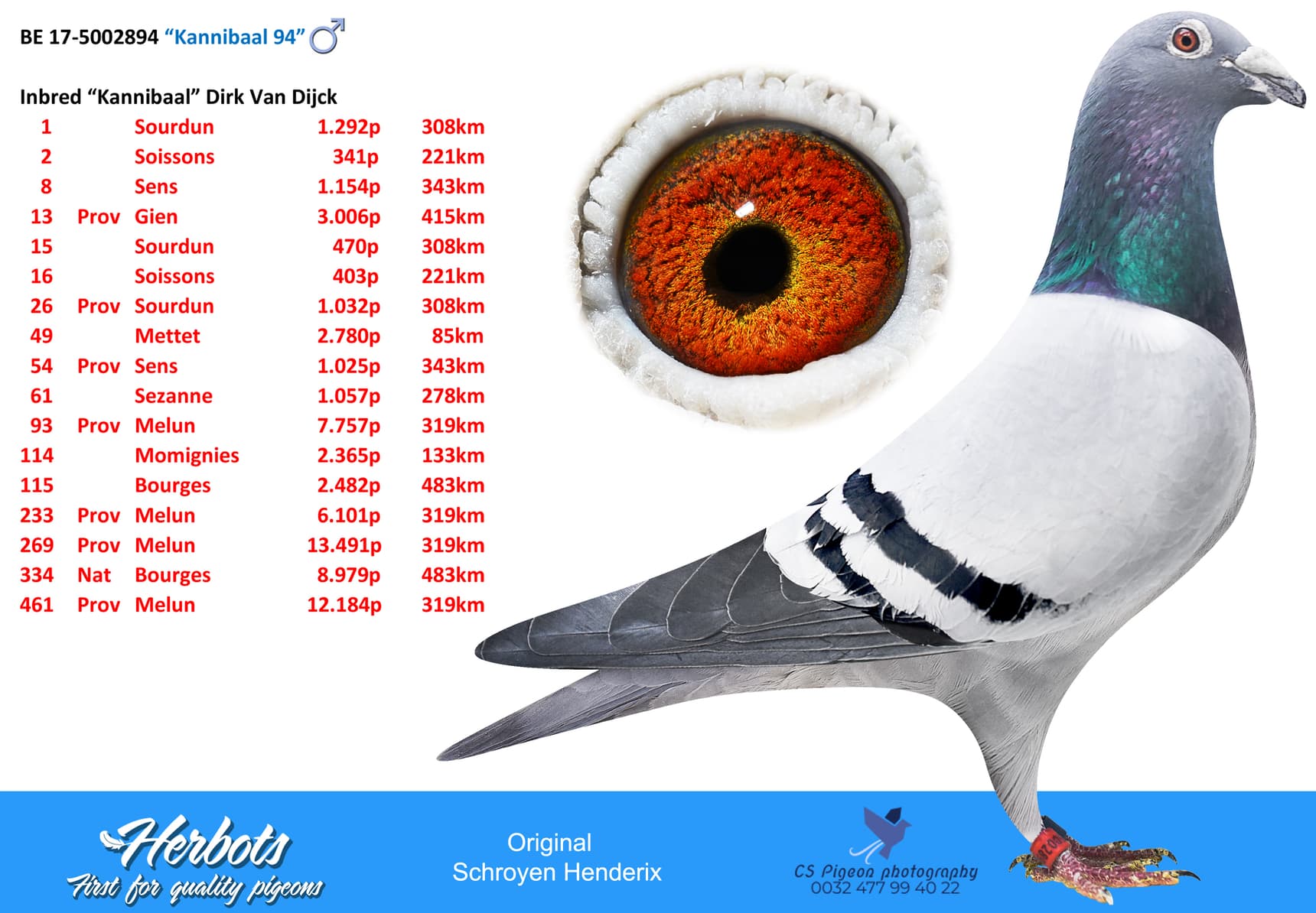 pigeon: “Kannibaal 94”