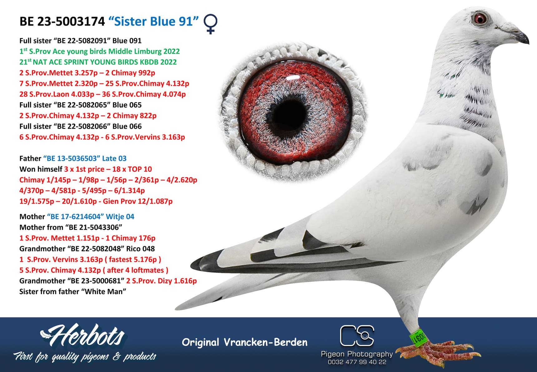 pigeon: undefined