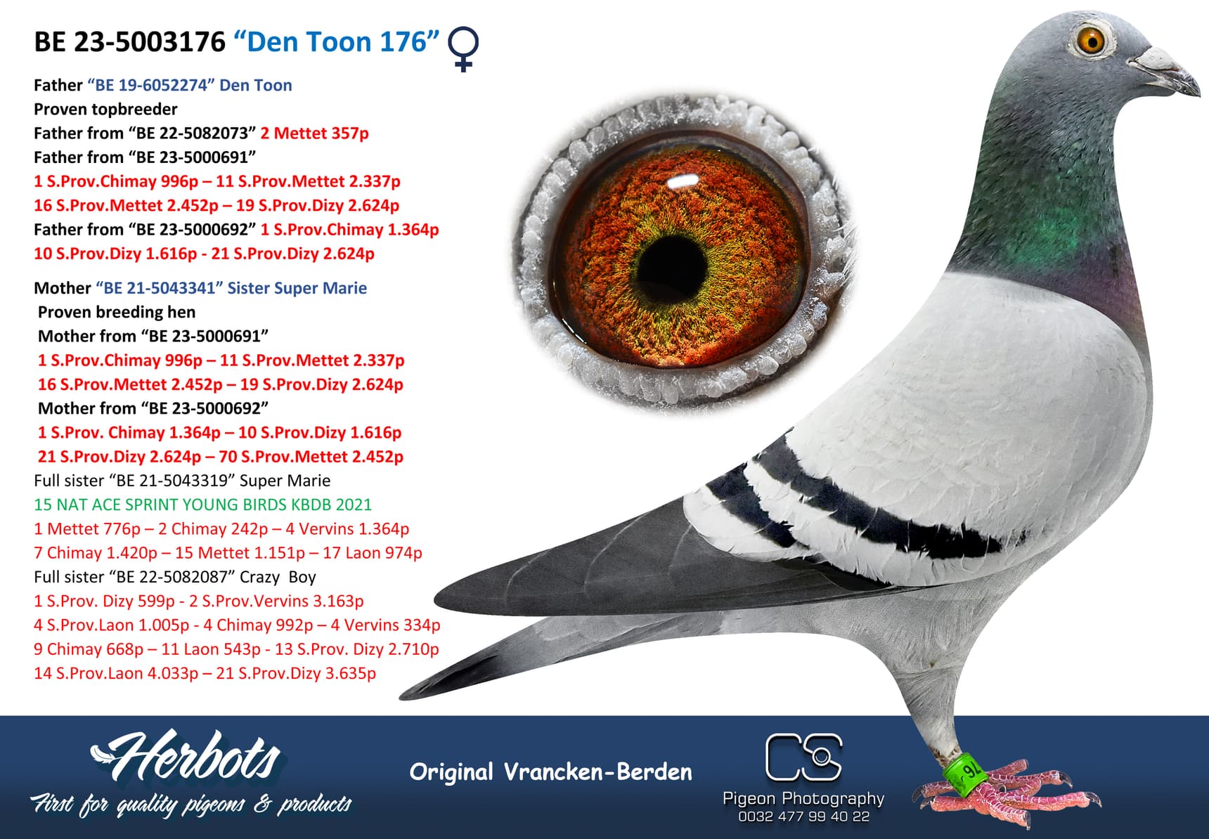 pigeon: undefined