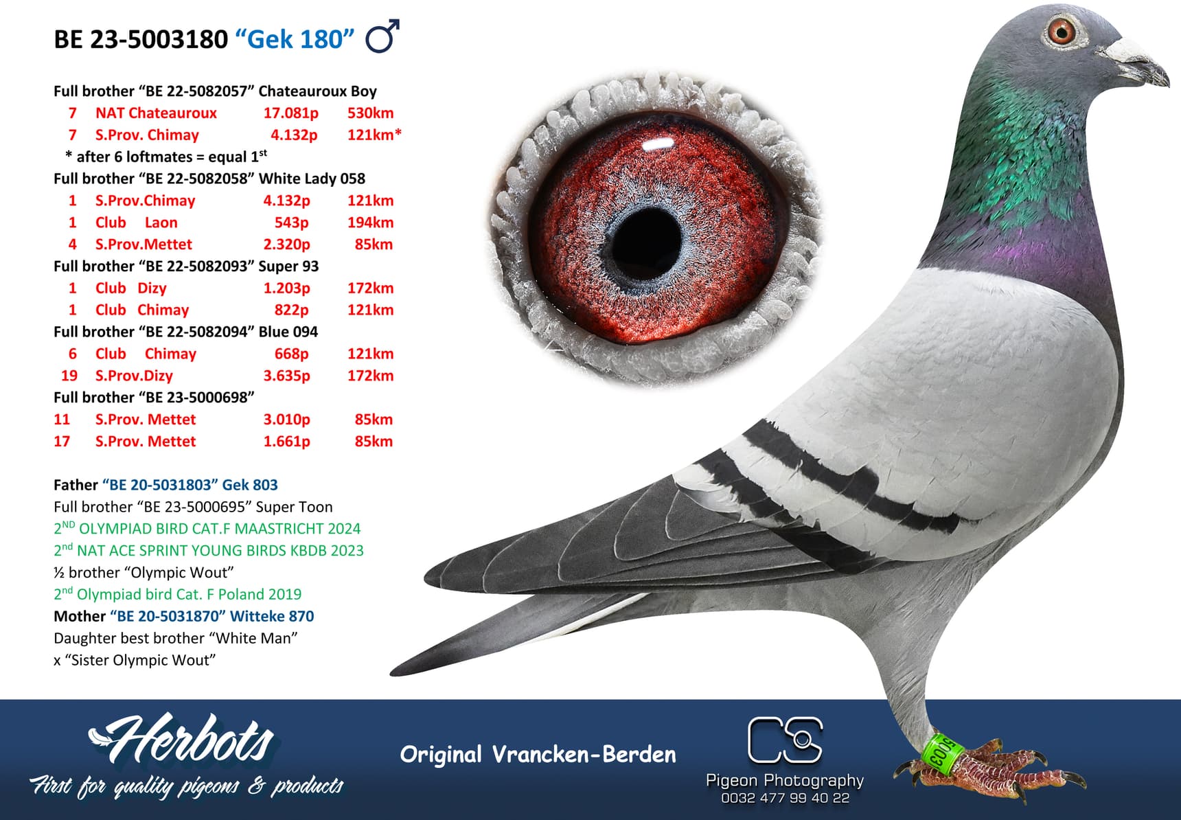 pigeon: undefined