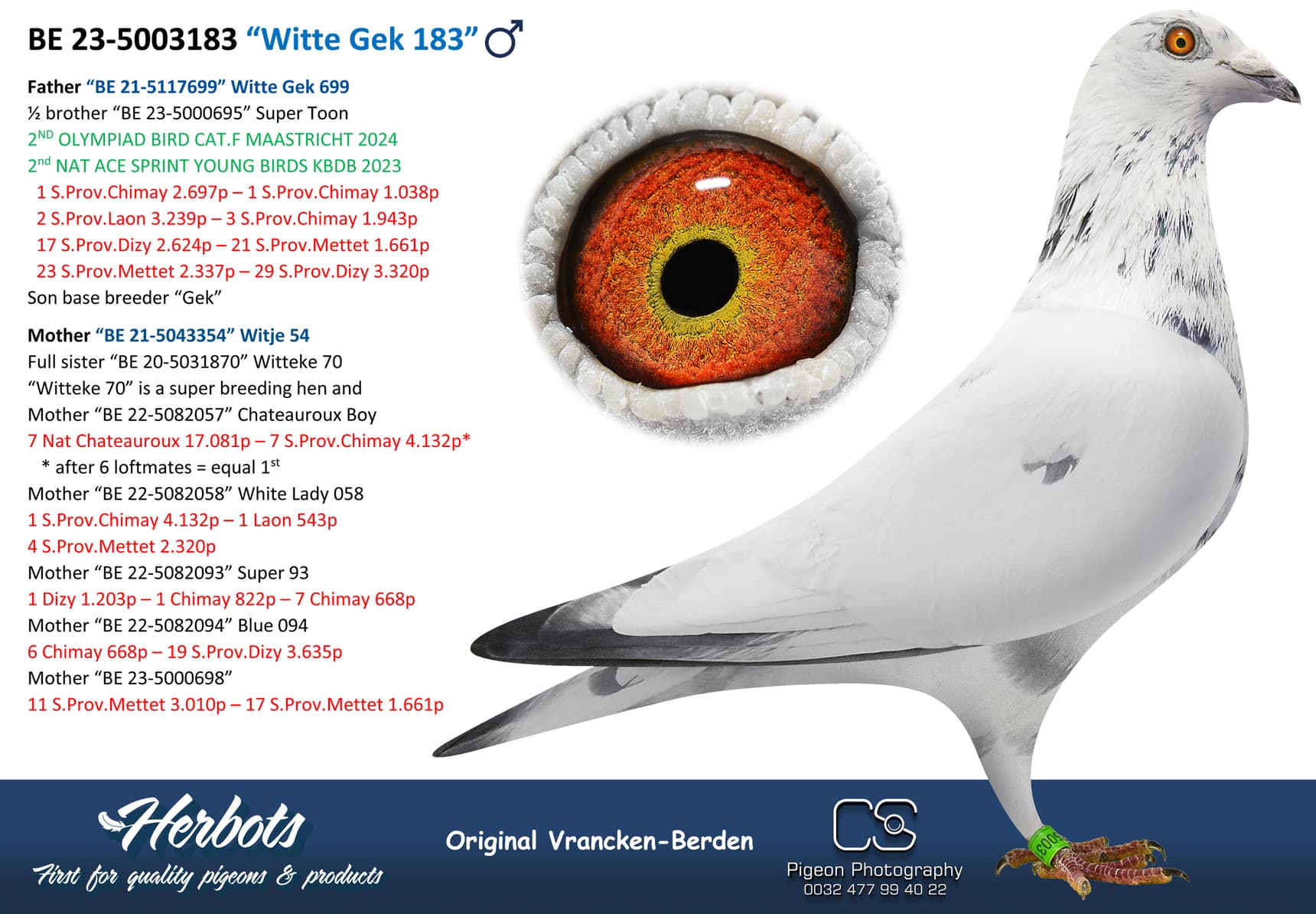 pigeon: undefined
