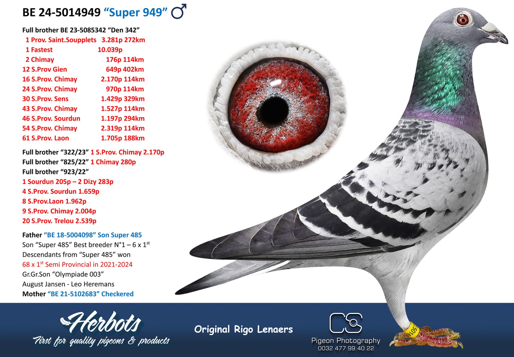 pigeon: undefined