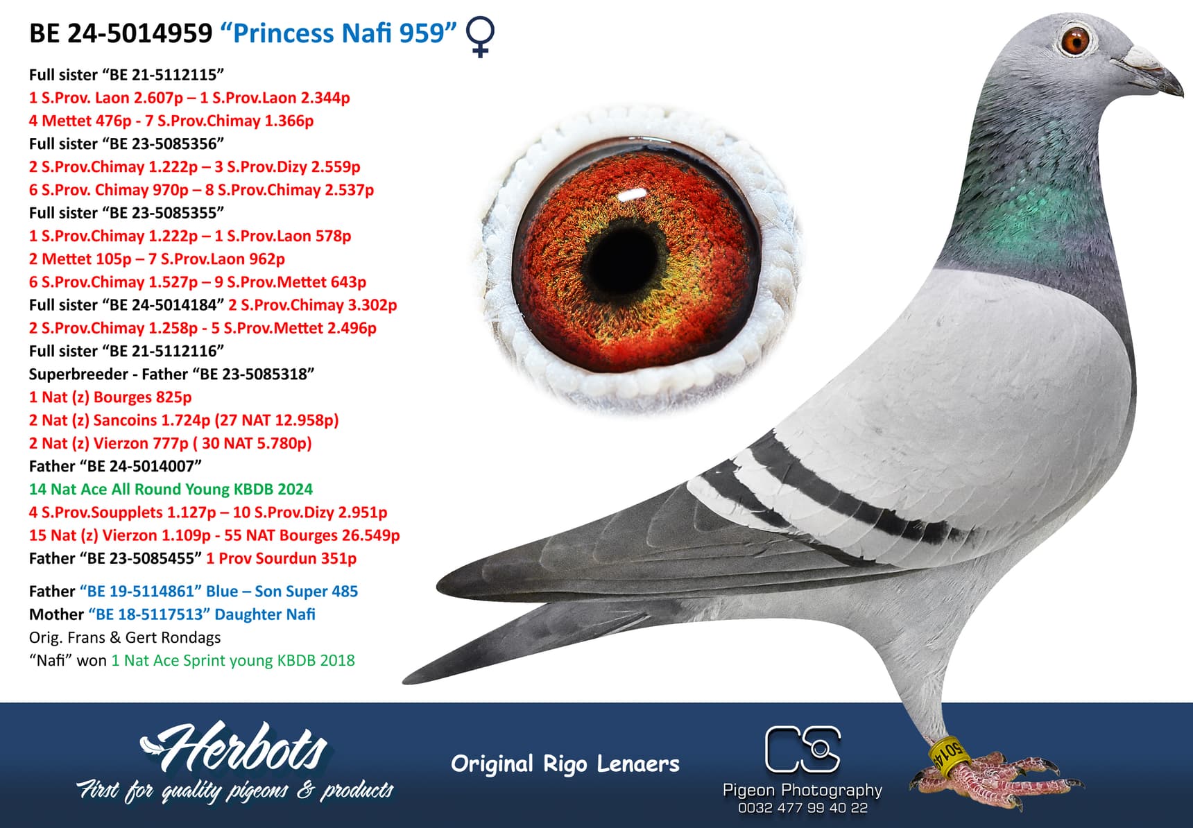 pigeon: undefined