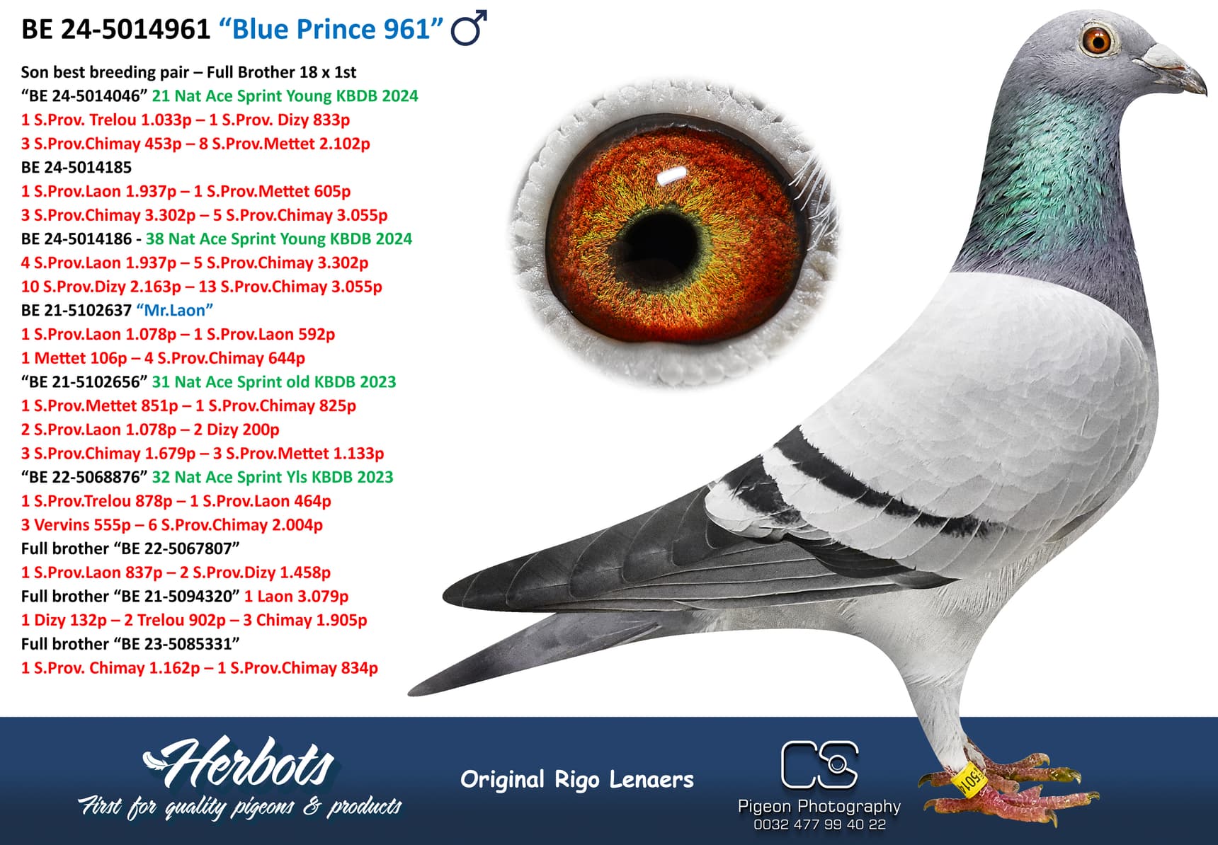 pigeon: undefined