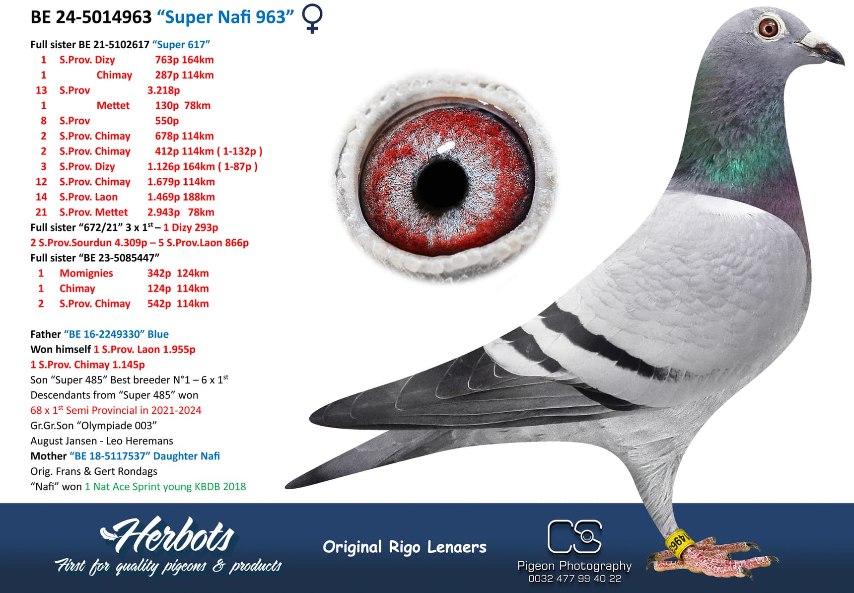 pigeon: undefined