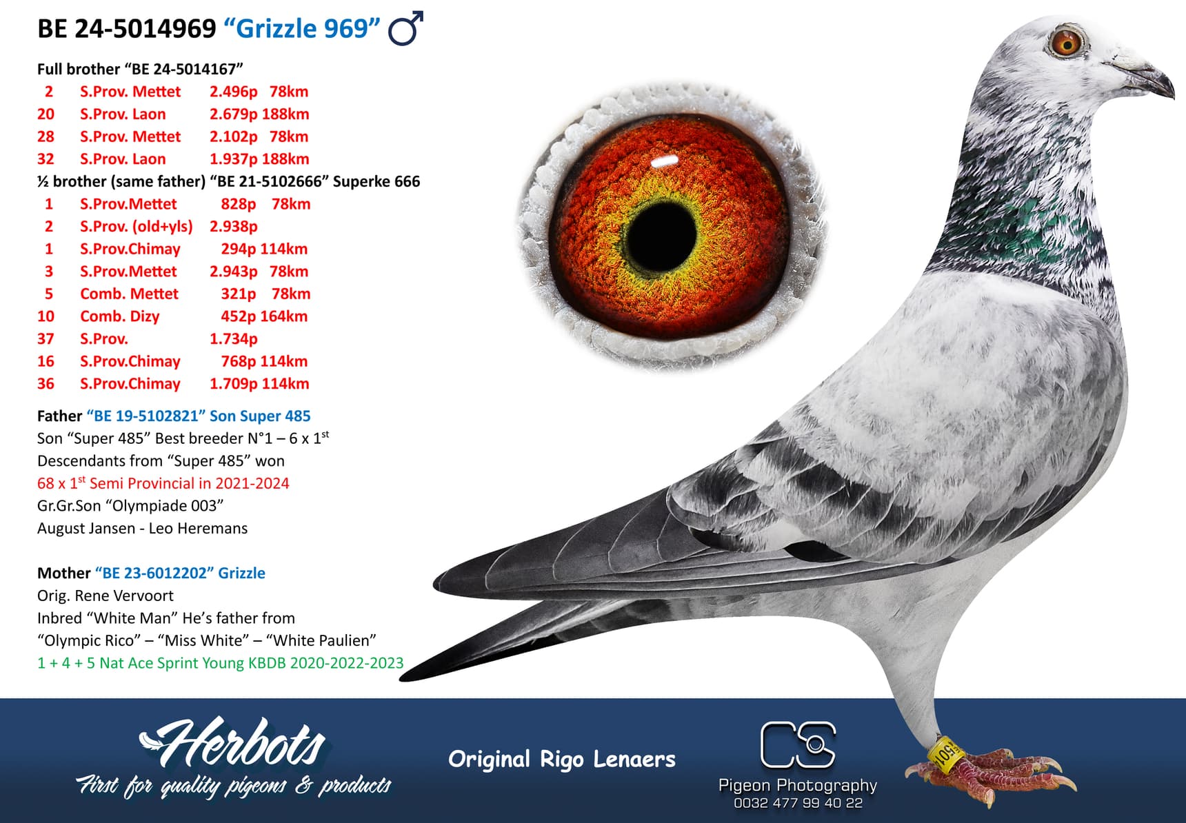 pigeon: undefined