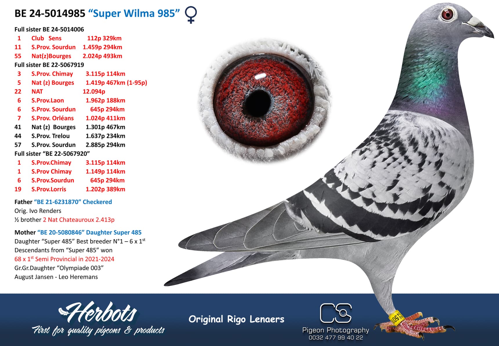 pigeon: undefined