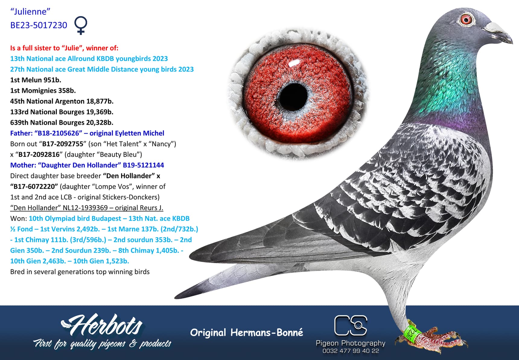 pigeon: undefined