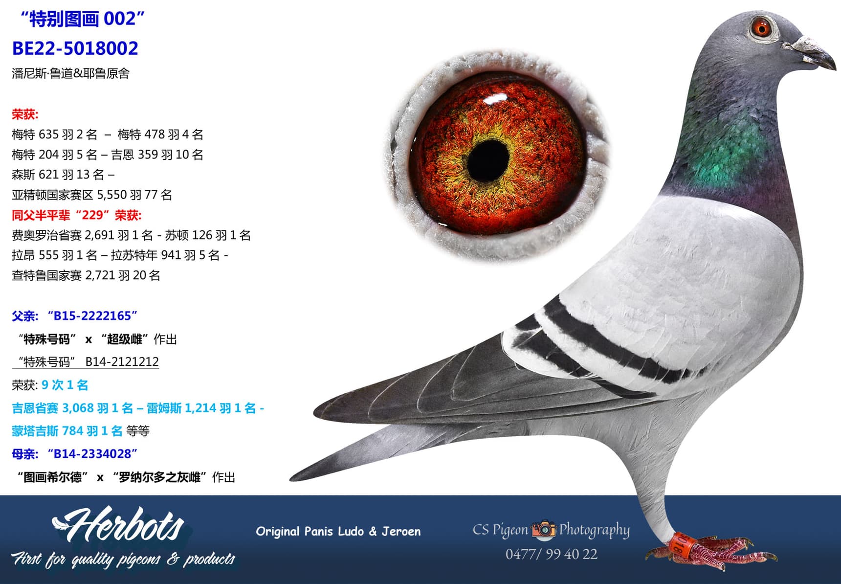 pigeon: undefined