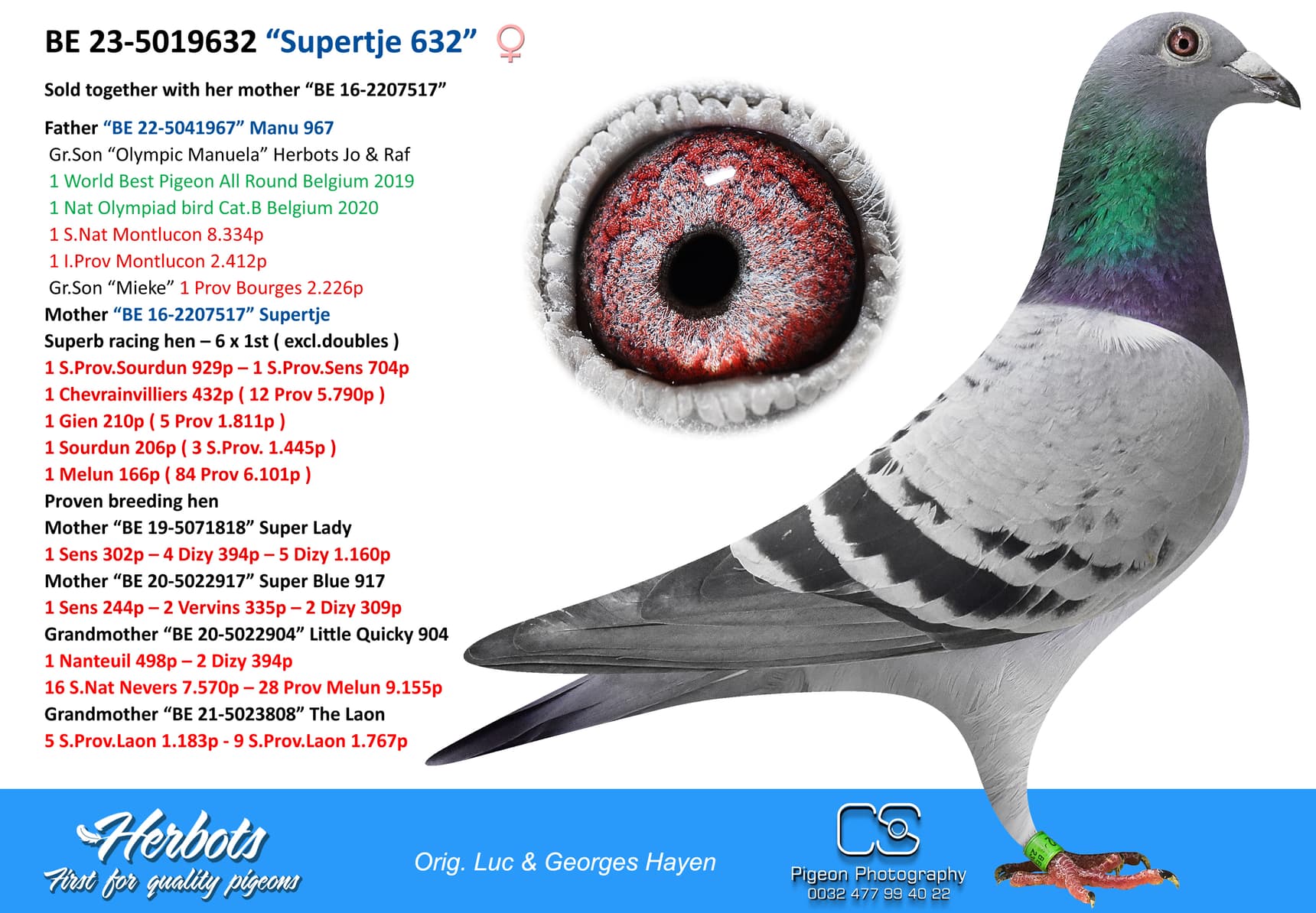 pigeon: “Supertje 632”