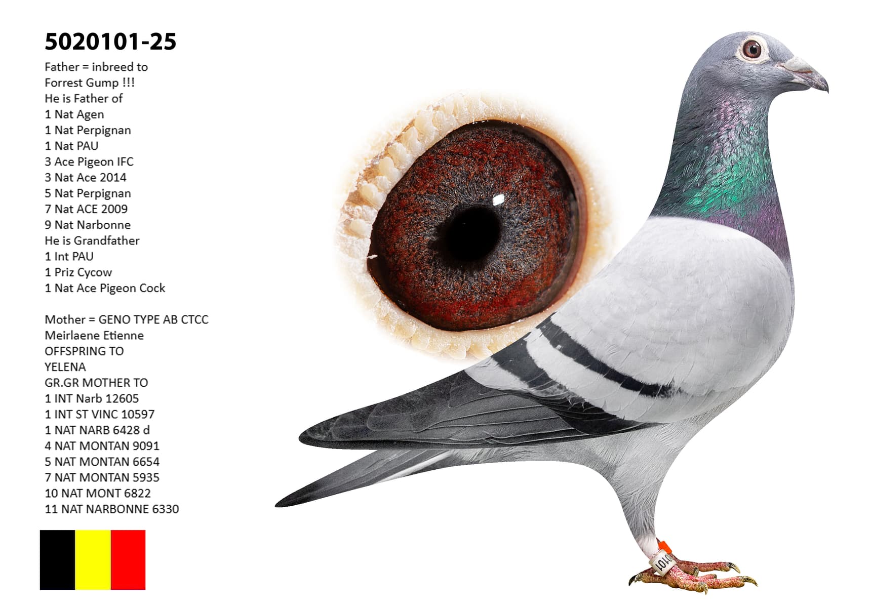 Forrest Gump x Meirlaen