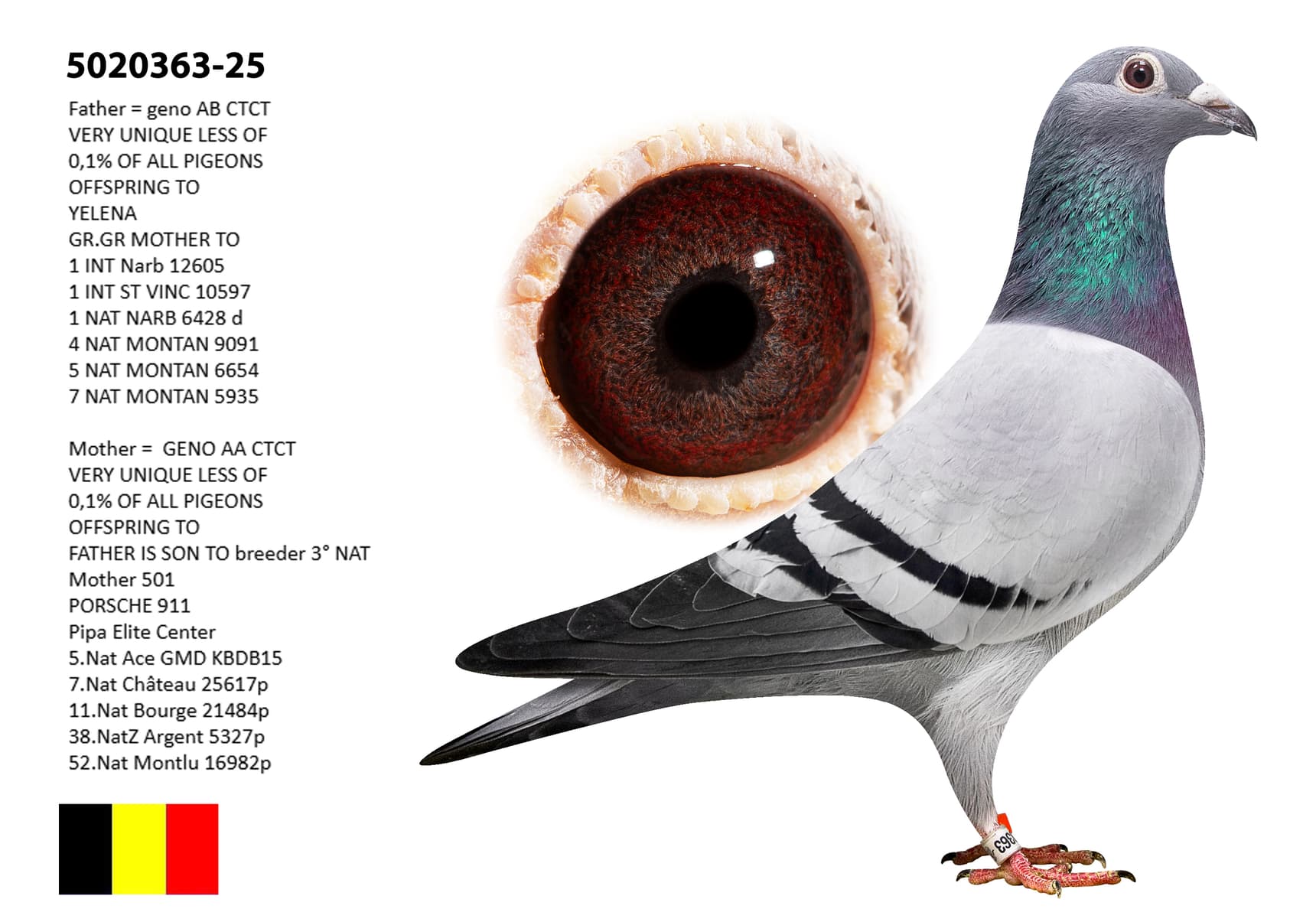 Inbred Yelena (Geno type AACTCT)