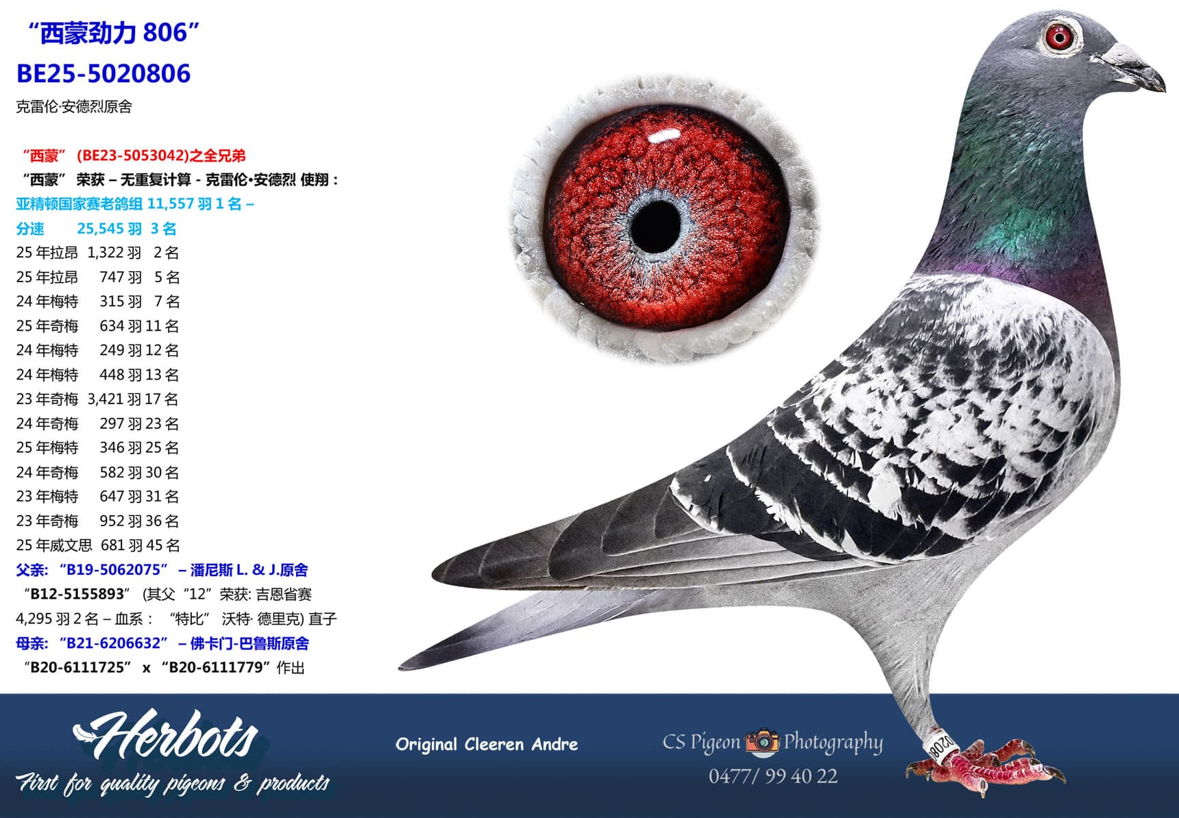 pigeon: undefined