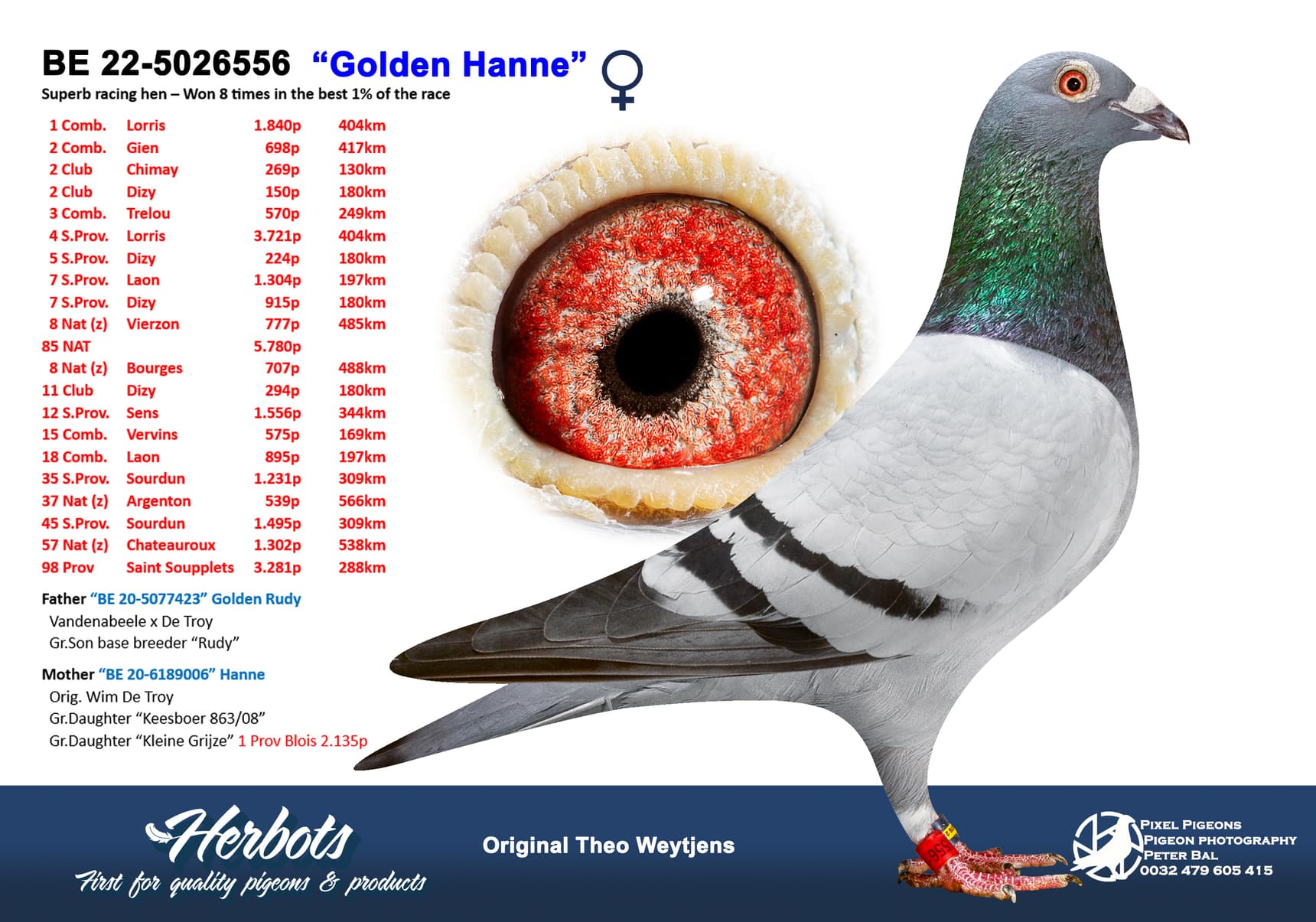 pigeon: undefined