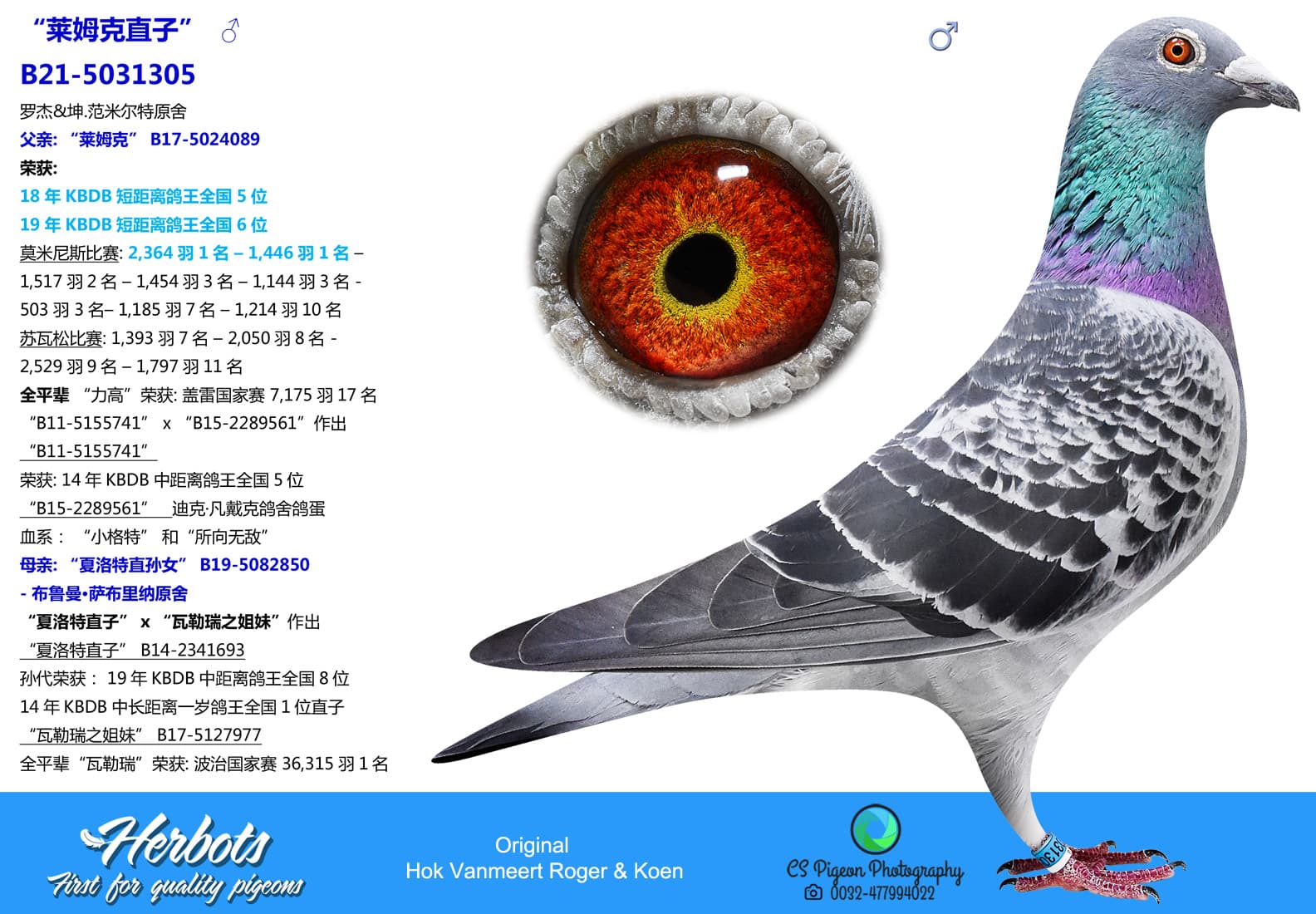 pigeon: undefined