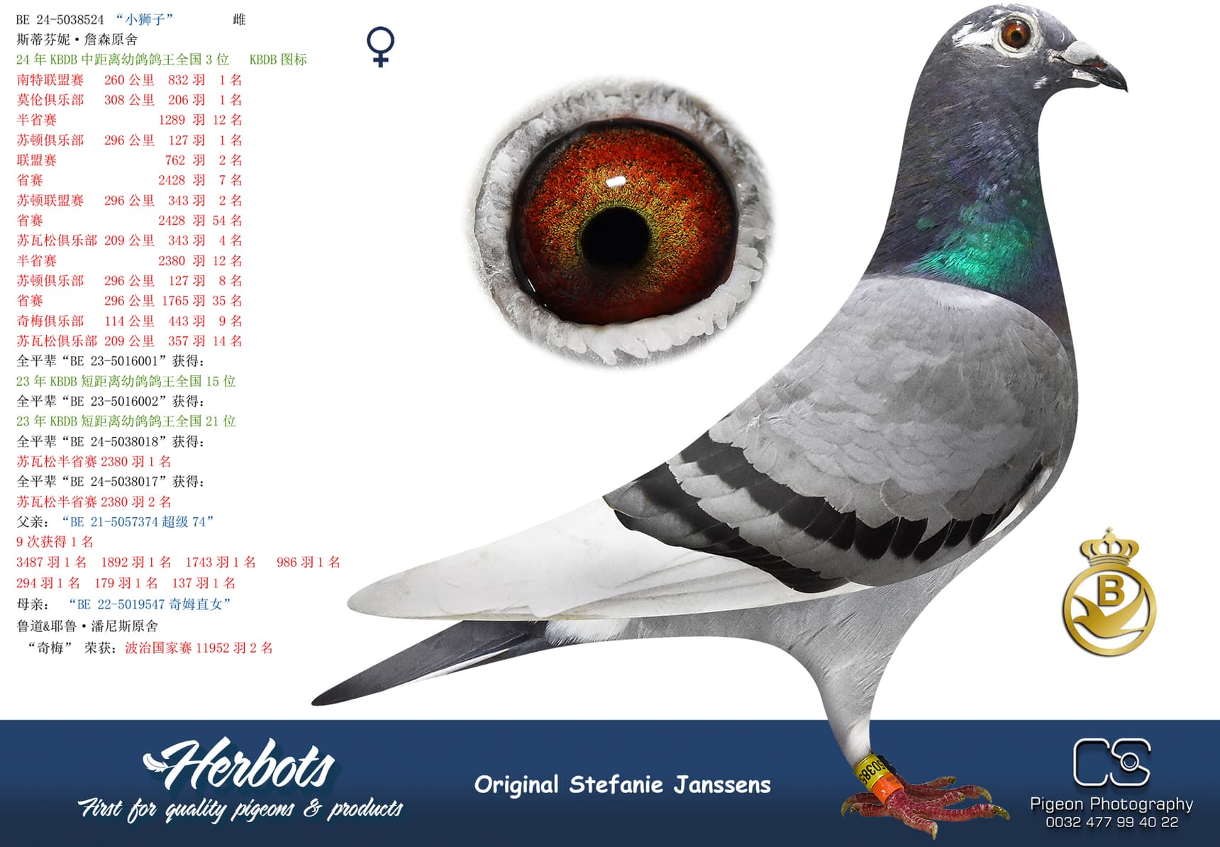 pigeon: undefined