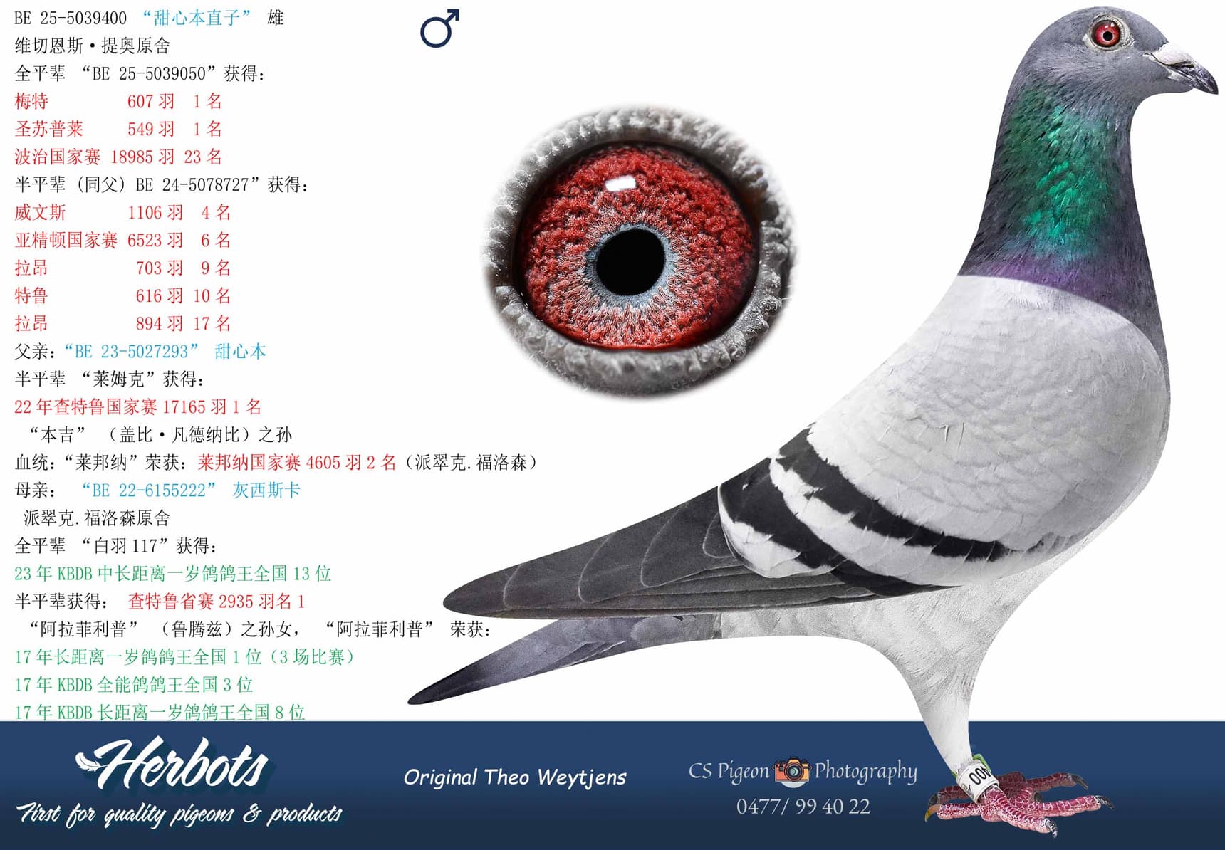 pigeon: undefined