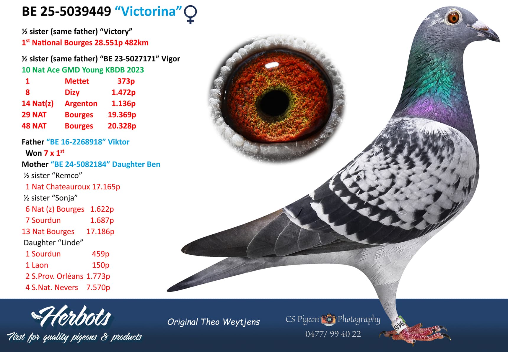 pigeon: undefined