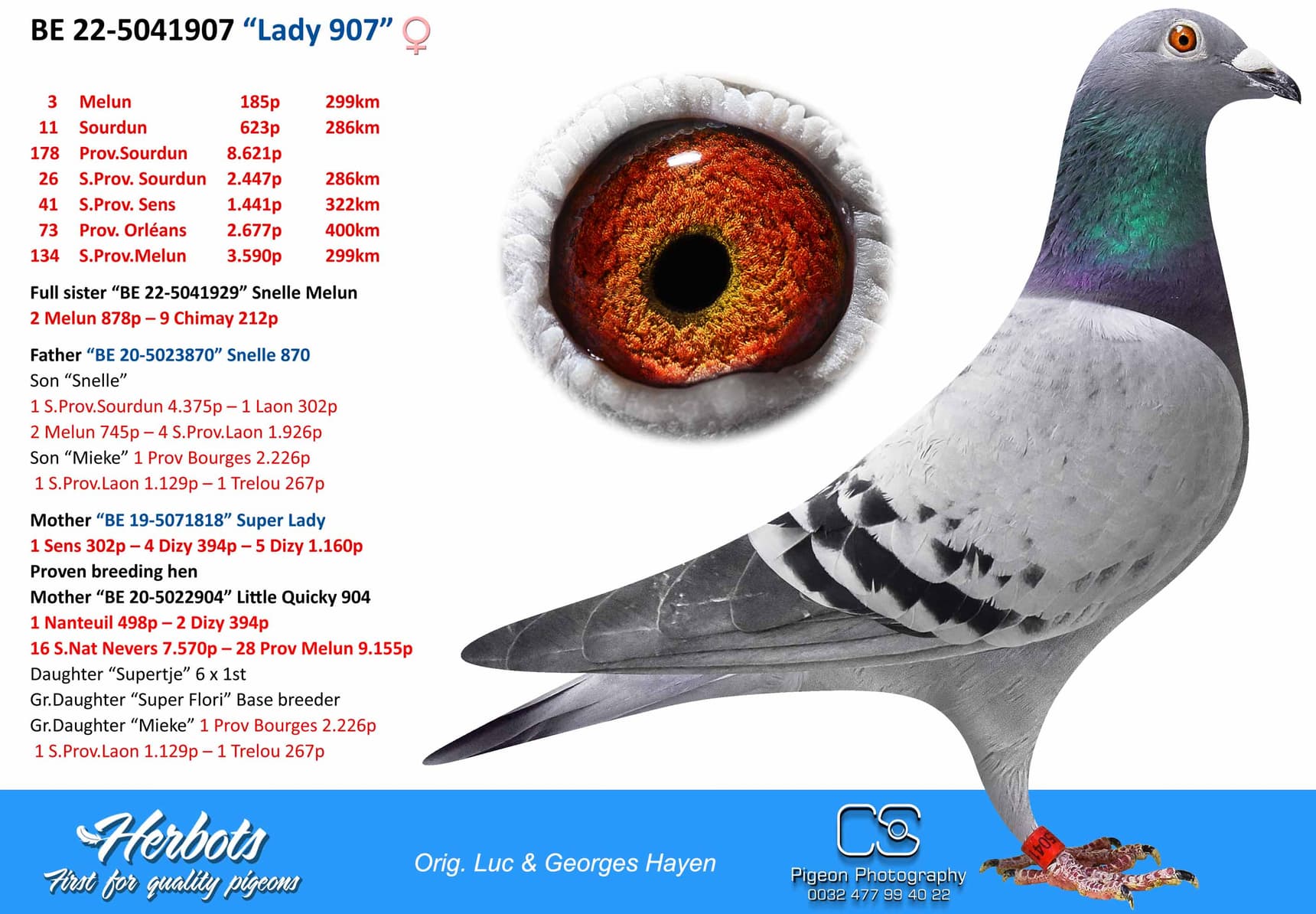 pigeon: undefined