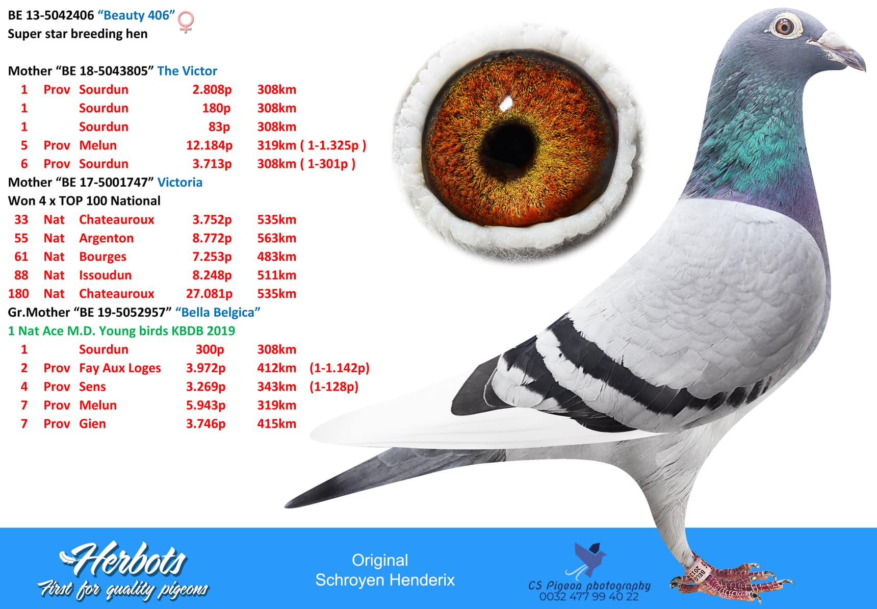 pigeon: “Beauty 406”