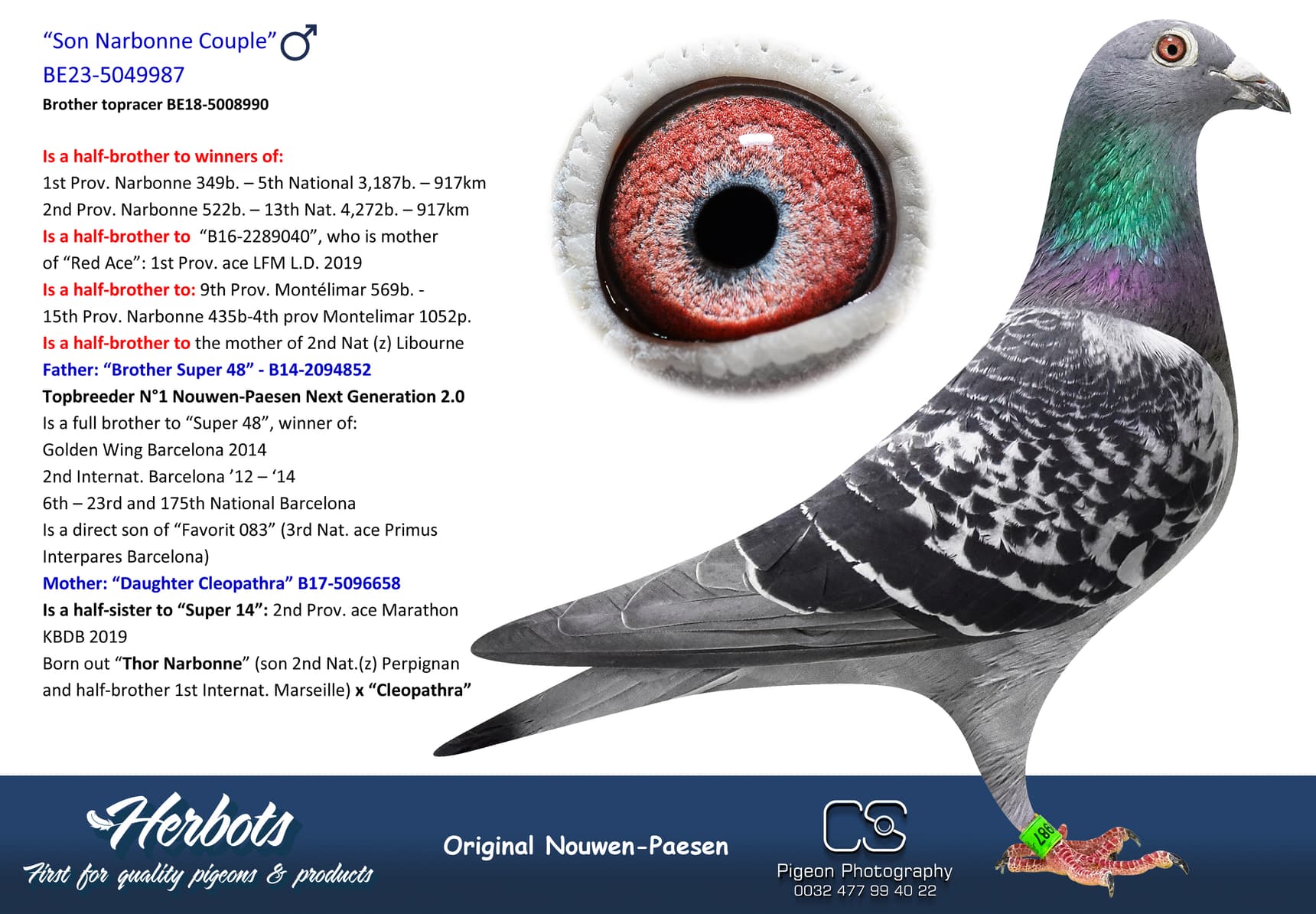 pigeon: undefined