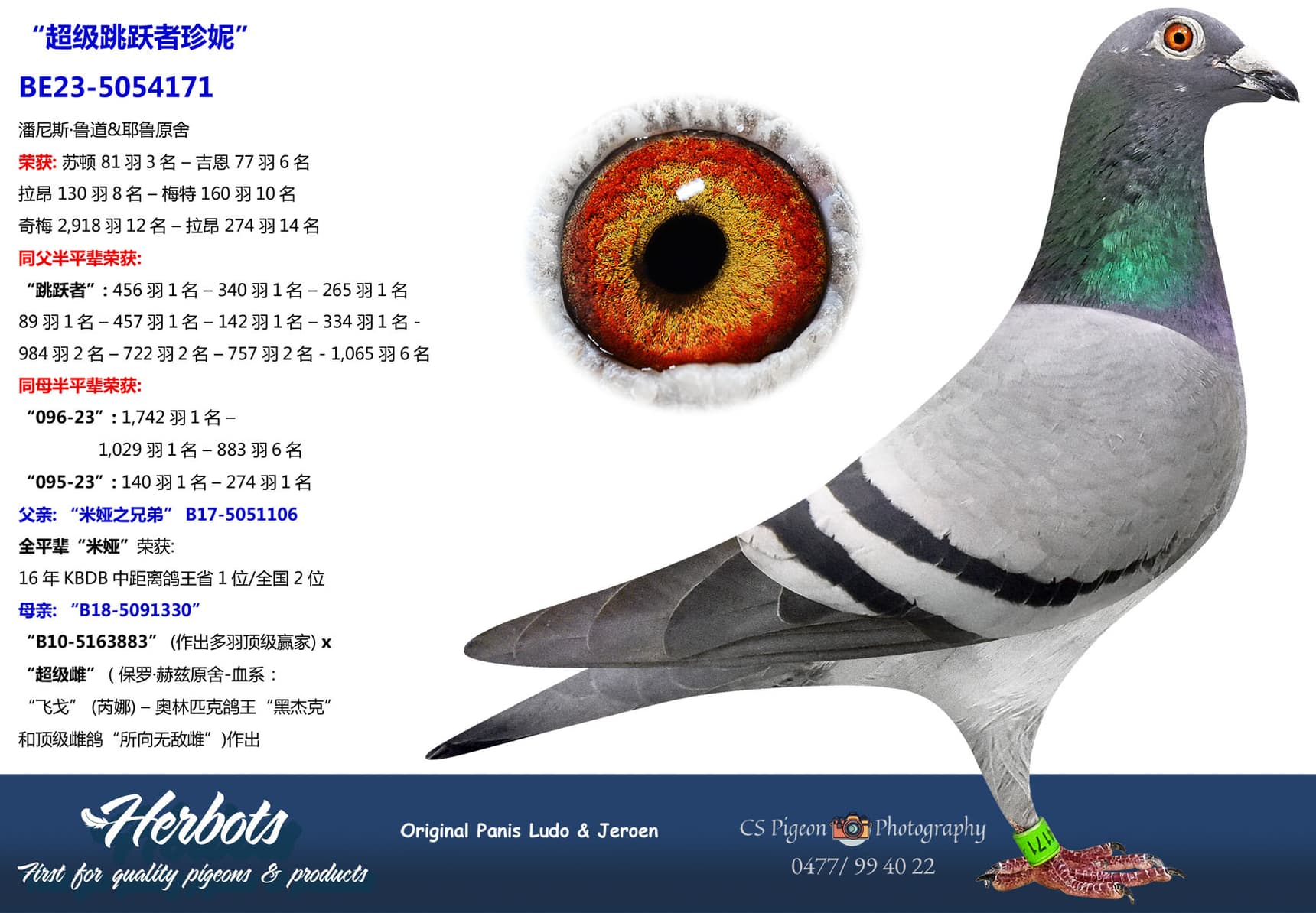pigeon: undefined